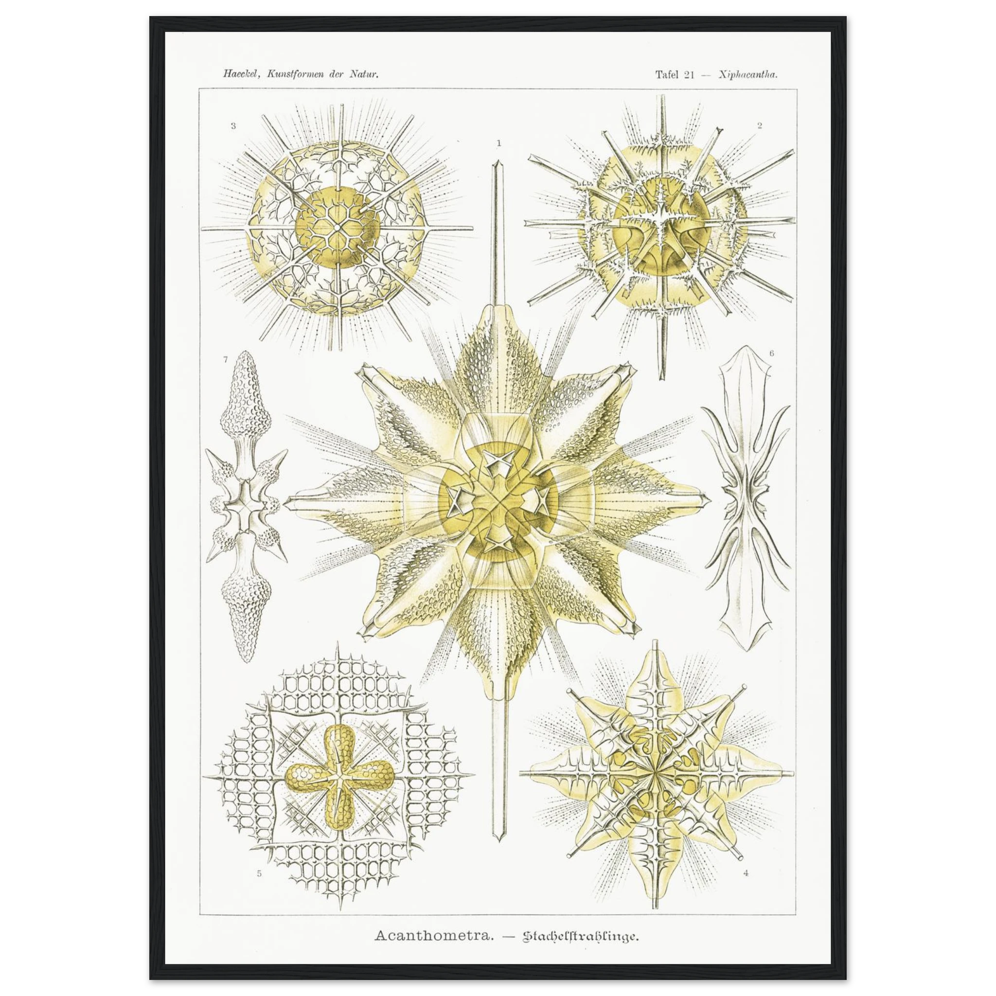 65e319c7-6ed2-4aa1-a134-d92ad97b1e8e