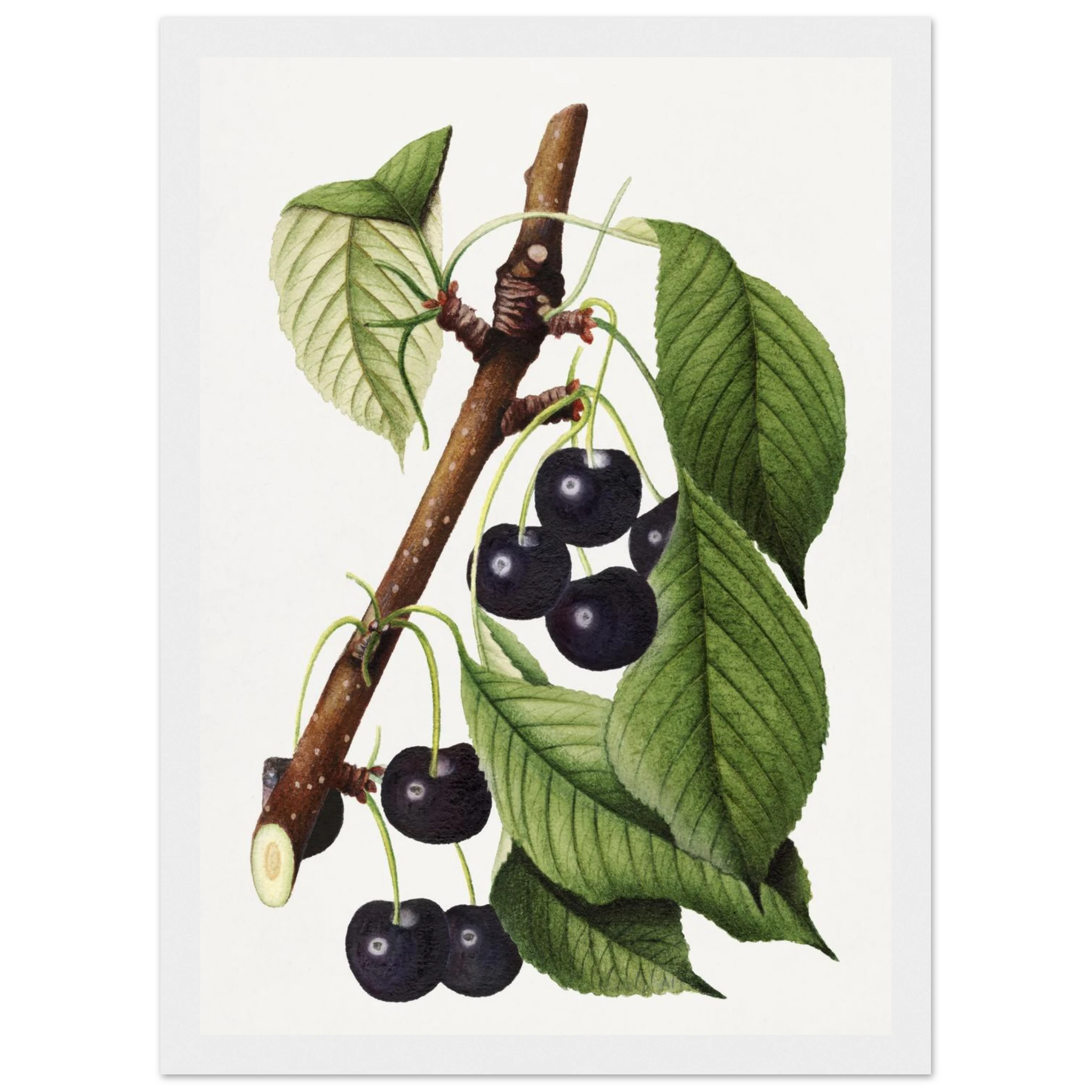 65ec1ee9-c10b-4dbf-9125-2b72adfc2a57