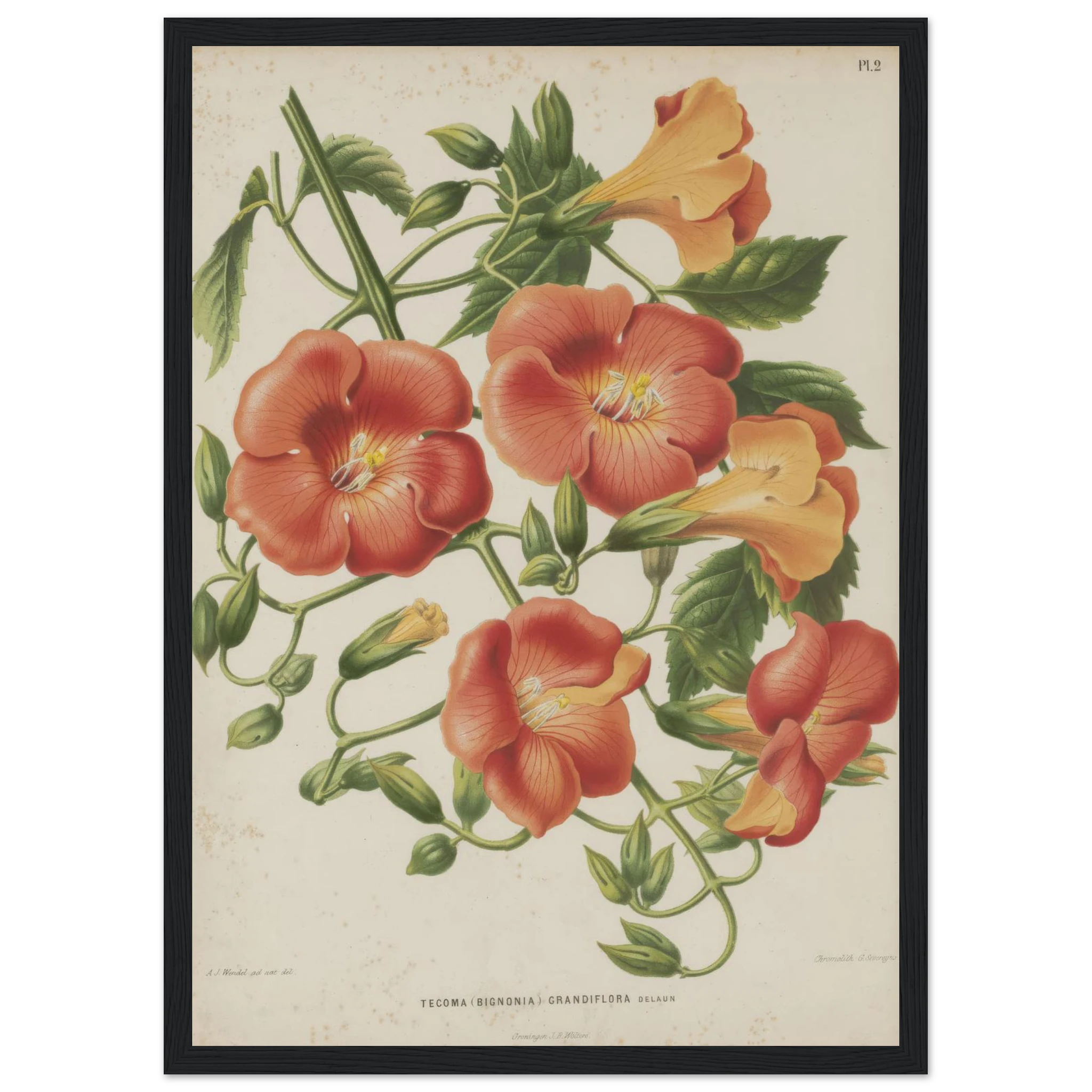 6624c2d6-963f-4da3-bbb1-464f23999bc3