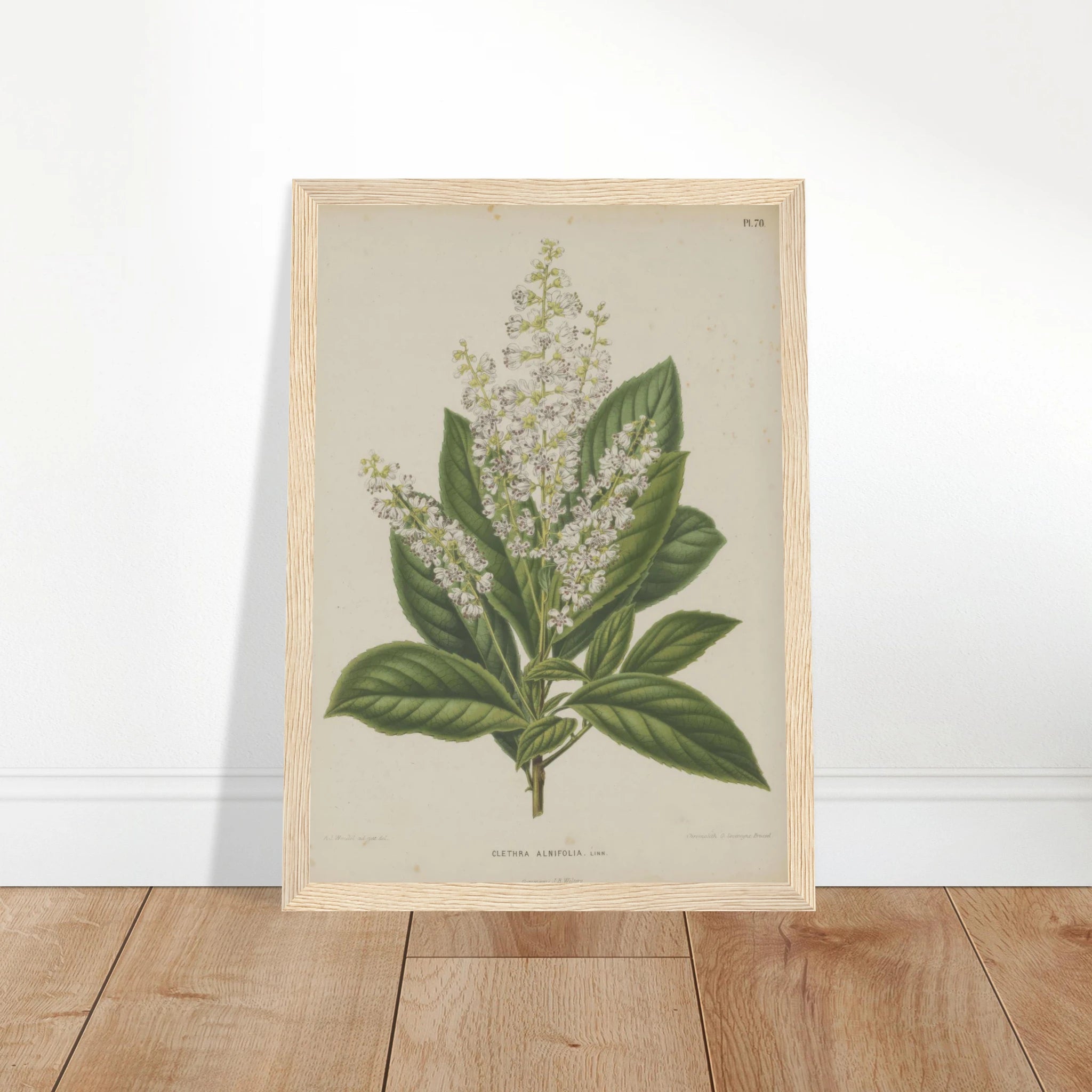 66592283-1c59-40e4-8ae6-ba4e44a8b43f