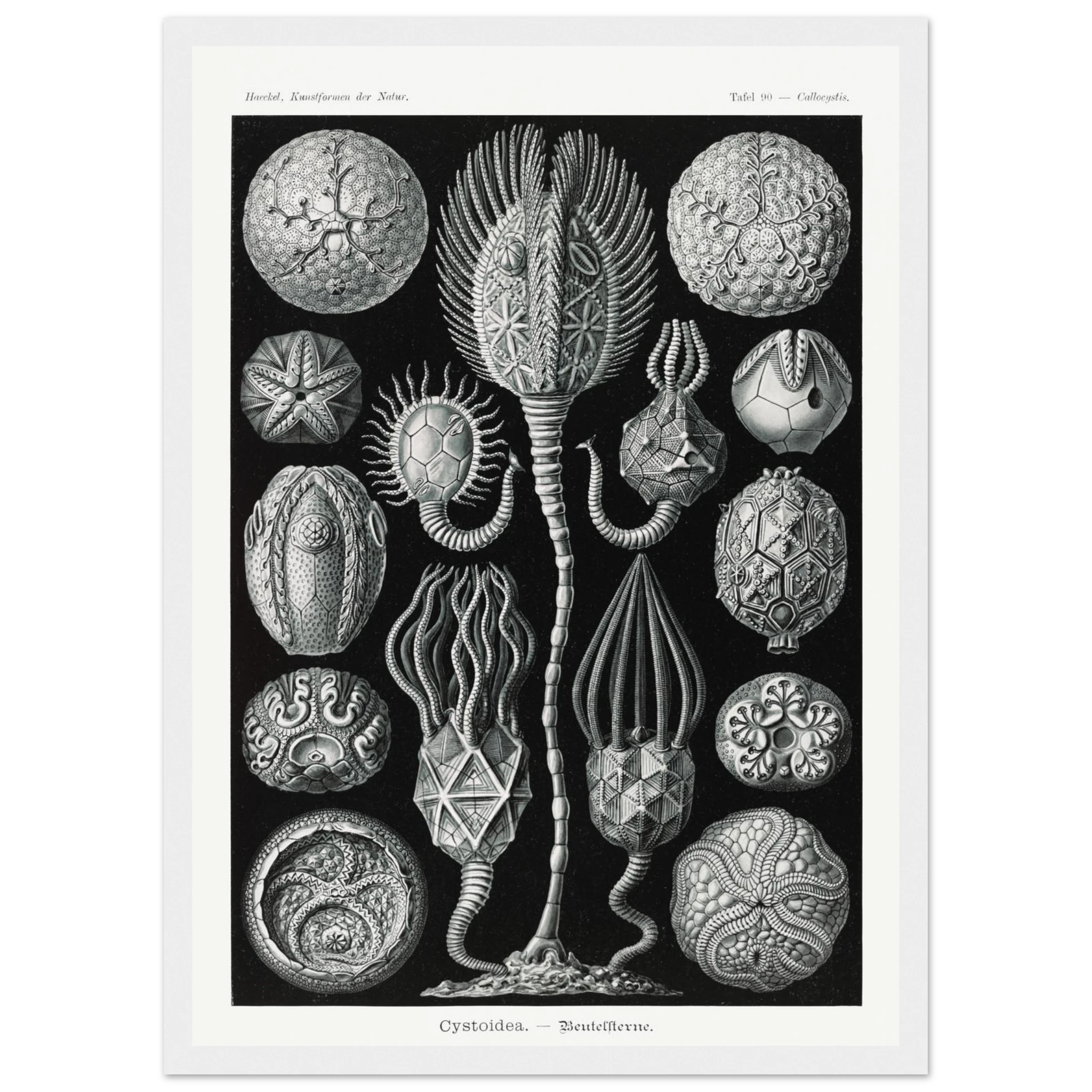 665b9598-f687-48a2-87ba-73a344016924