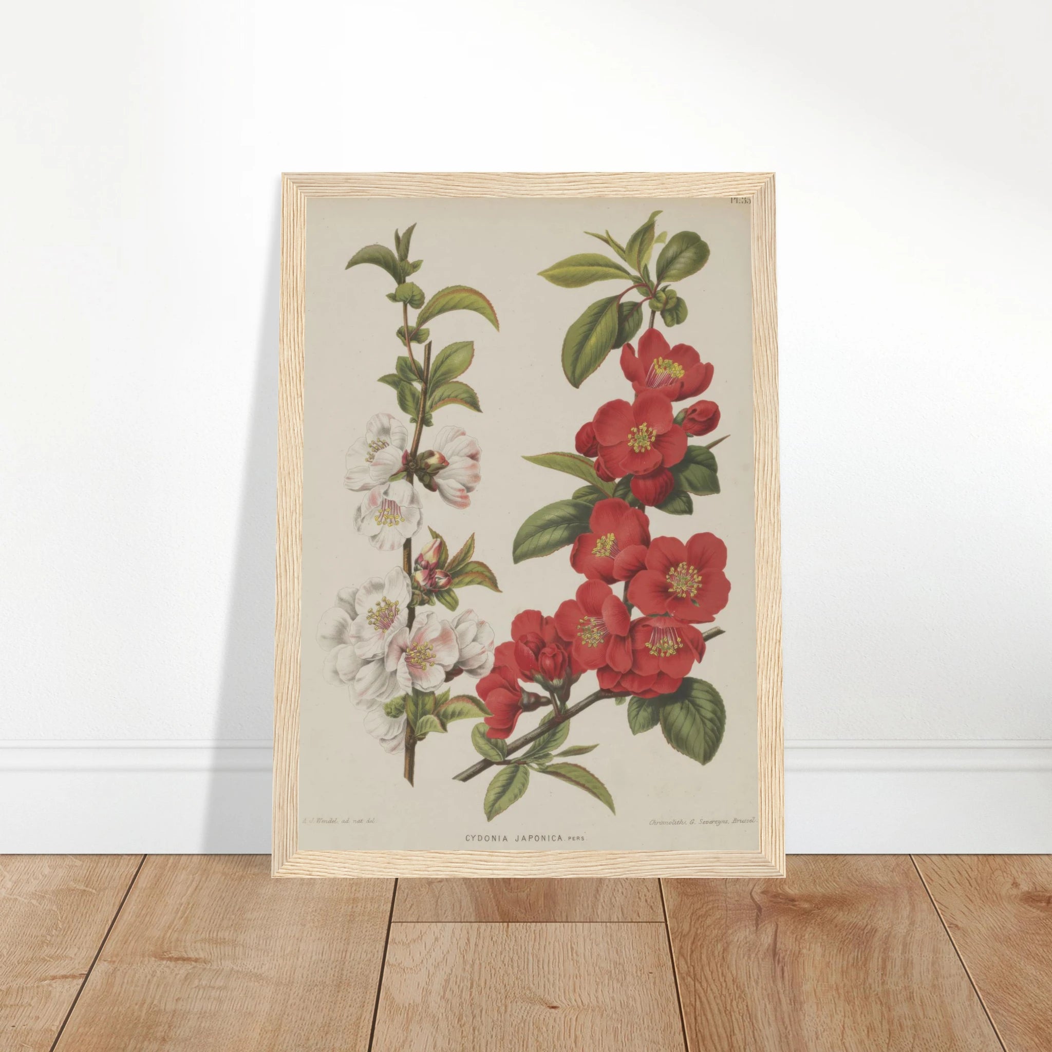 665d1ca9-0259-4e91-870c-ba38230bbe6b