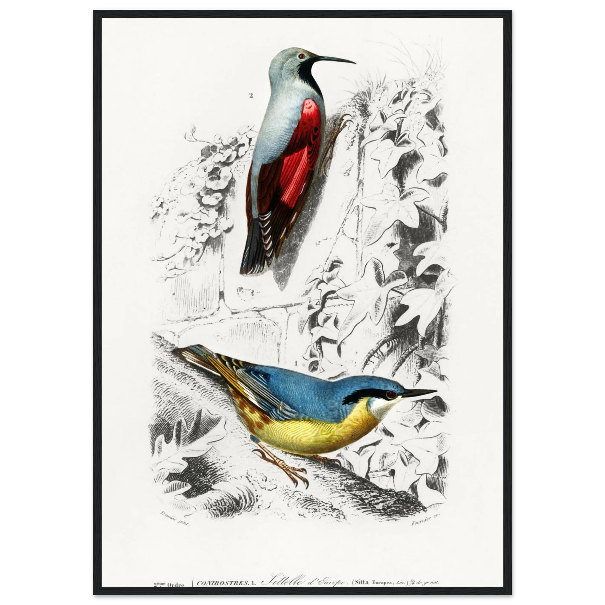 666fdeed-fa38-42bf-85ae-7533181fc6e7