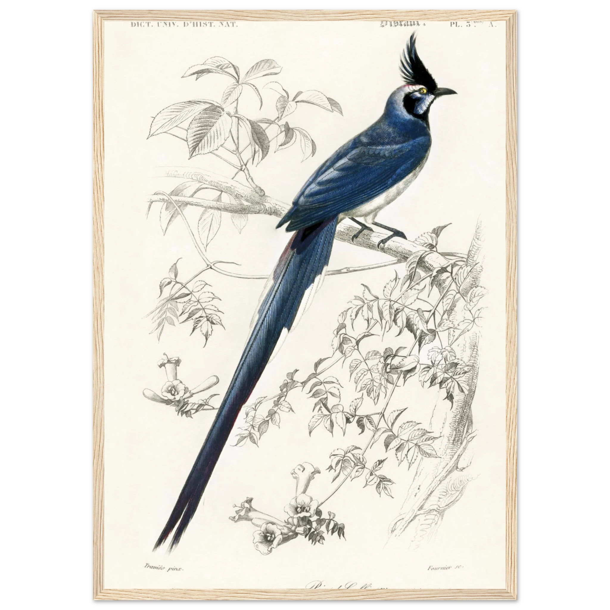 66890ed0-52c0-418a-af10-766df76744ff