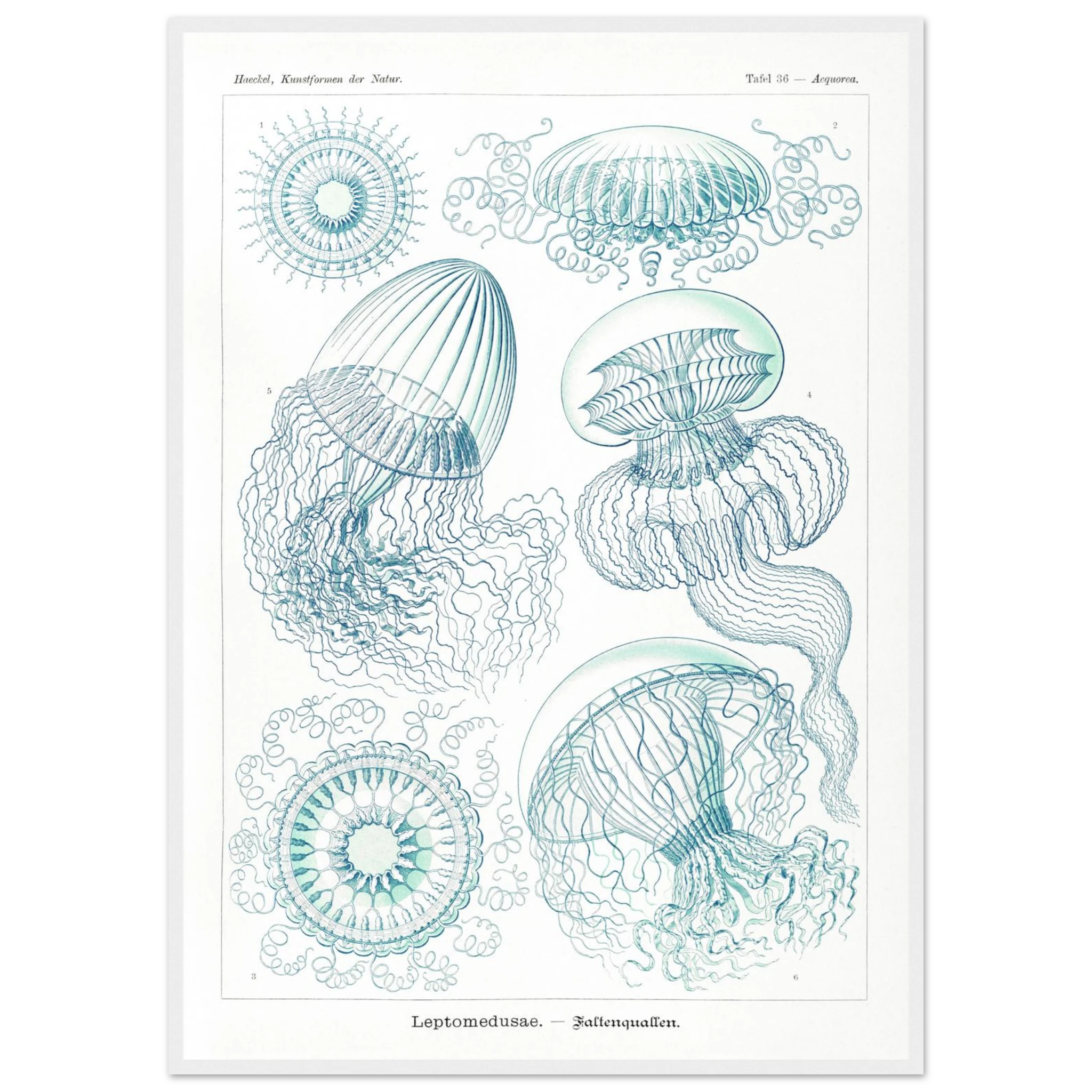 669f5bf3-87ad-4aea-913d-4924b3c07578