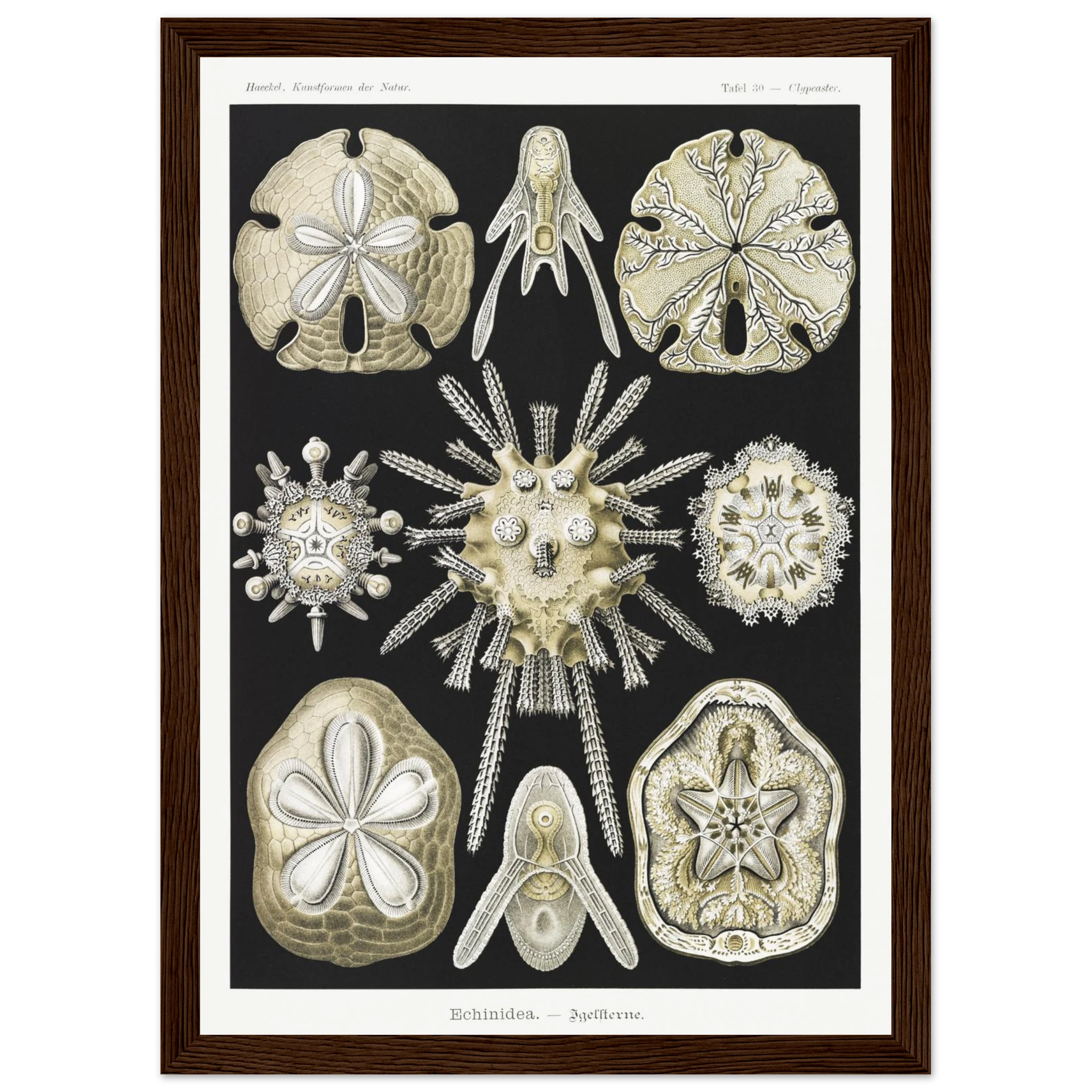 66a2eefa-e81b-452f-82fc-7e73992c73bb