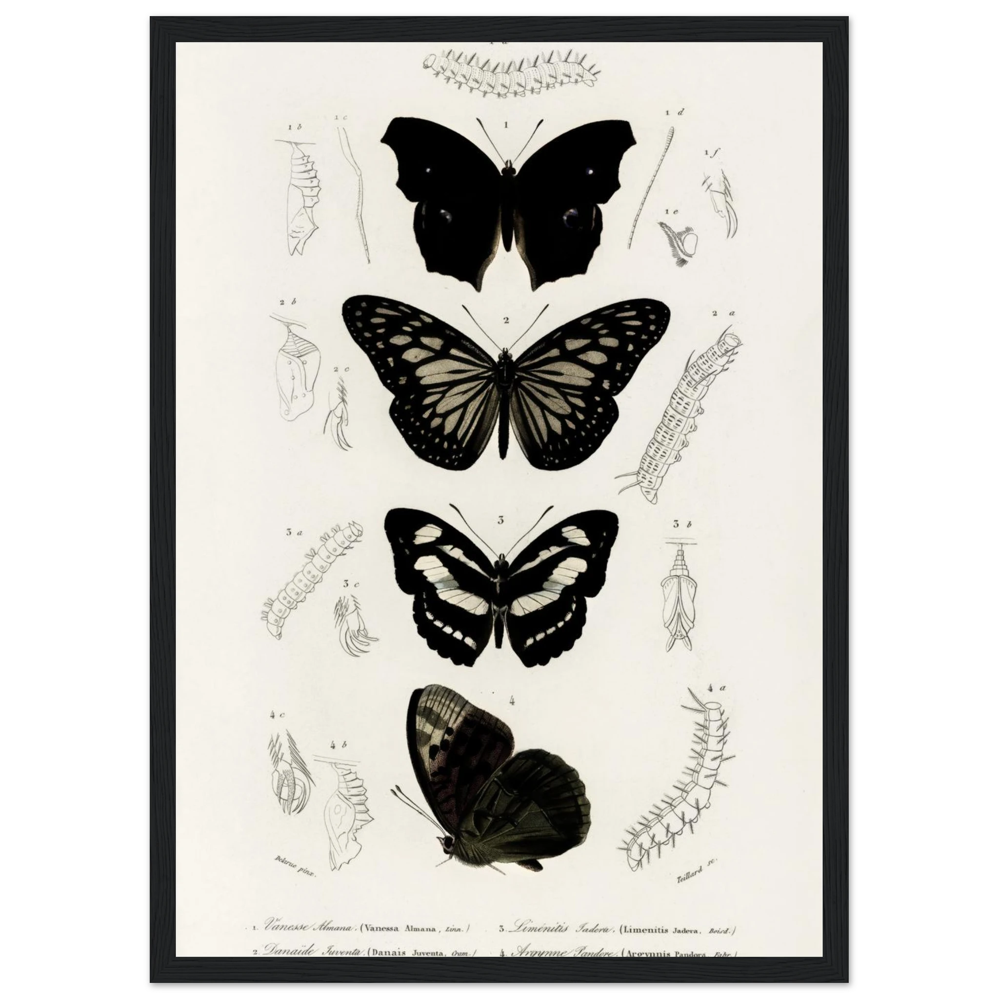 66aebf23-7c11-444f-ac77-e8b3c8efdce6