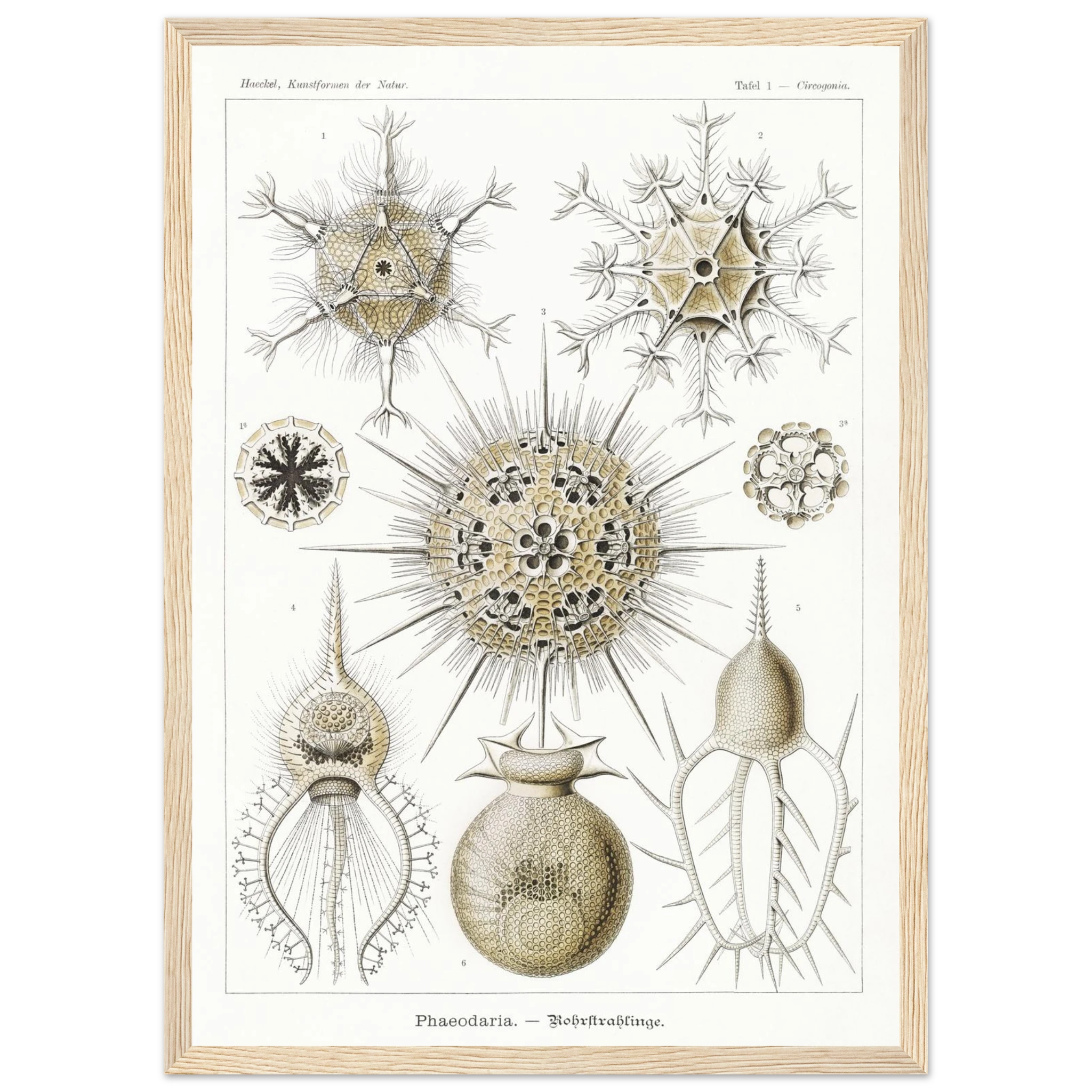 66f63262-dd46-47f9-b985-a0e819a0564a