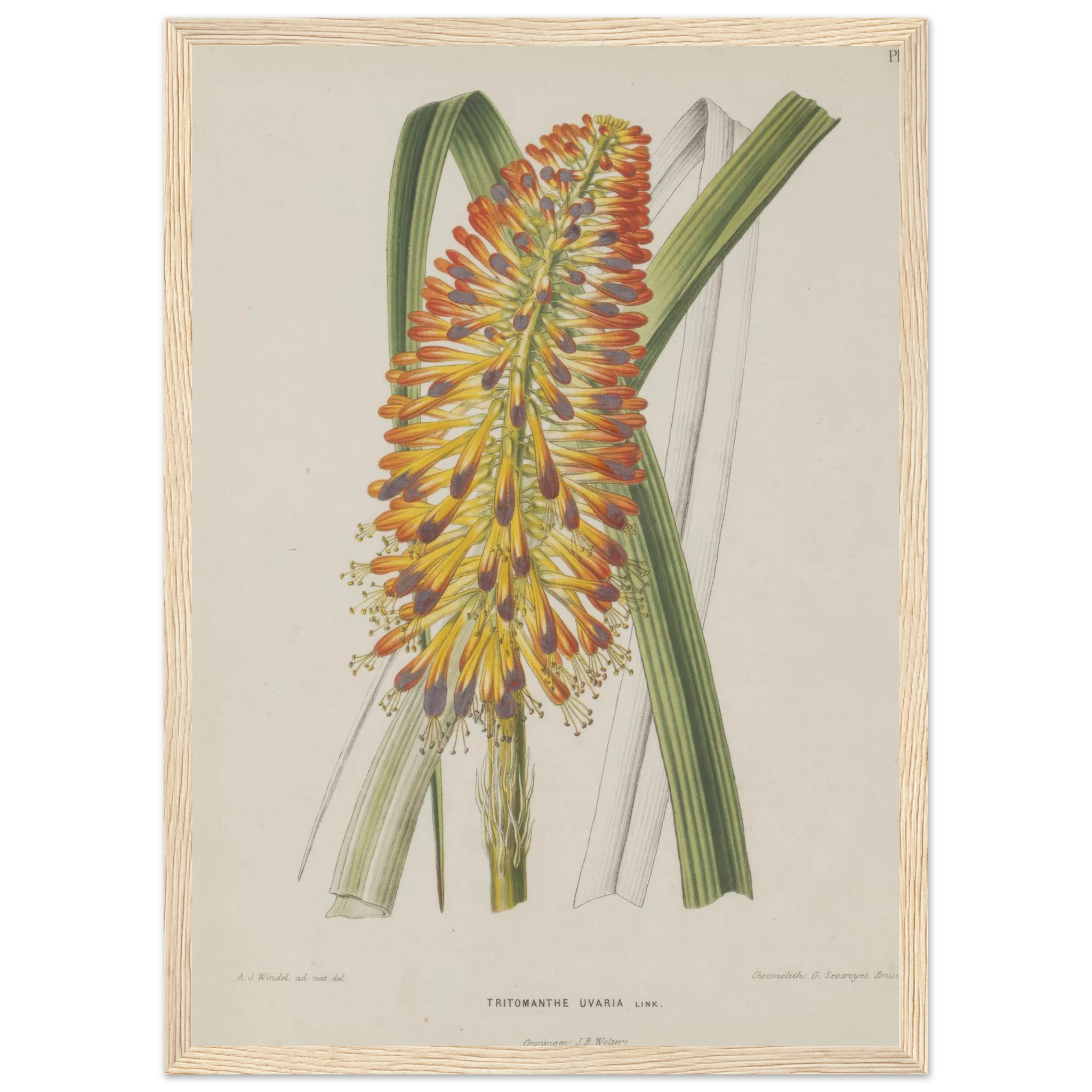 675430dc-16e2-4610-8e11-b8df9d9a2727