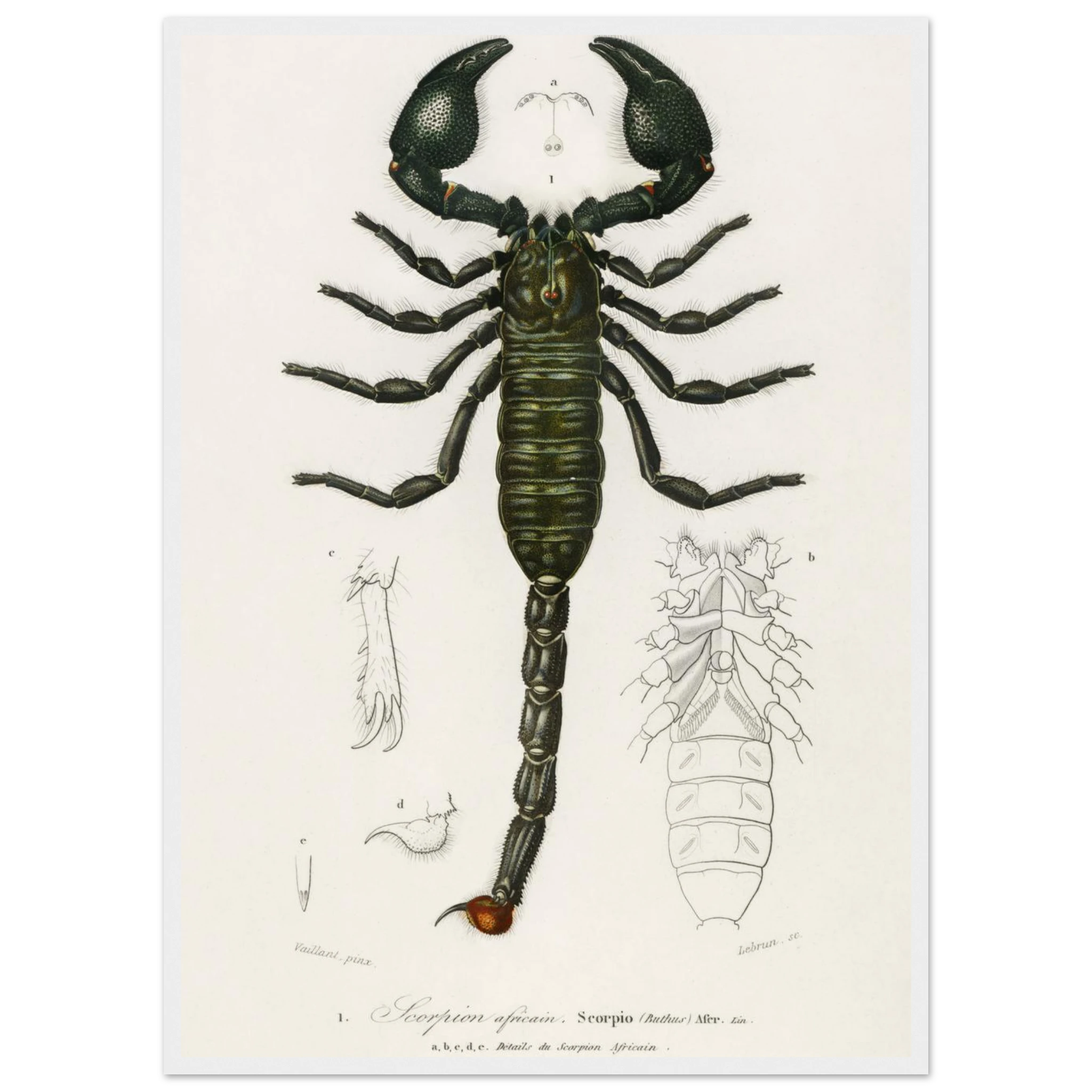 677f0856-3a42-45c9-a022-2dbdc7b0f280