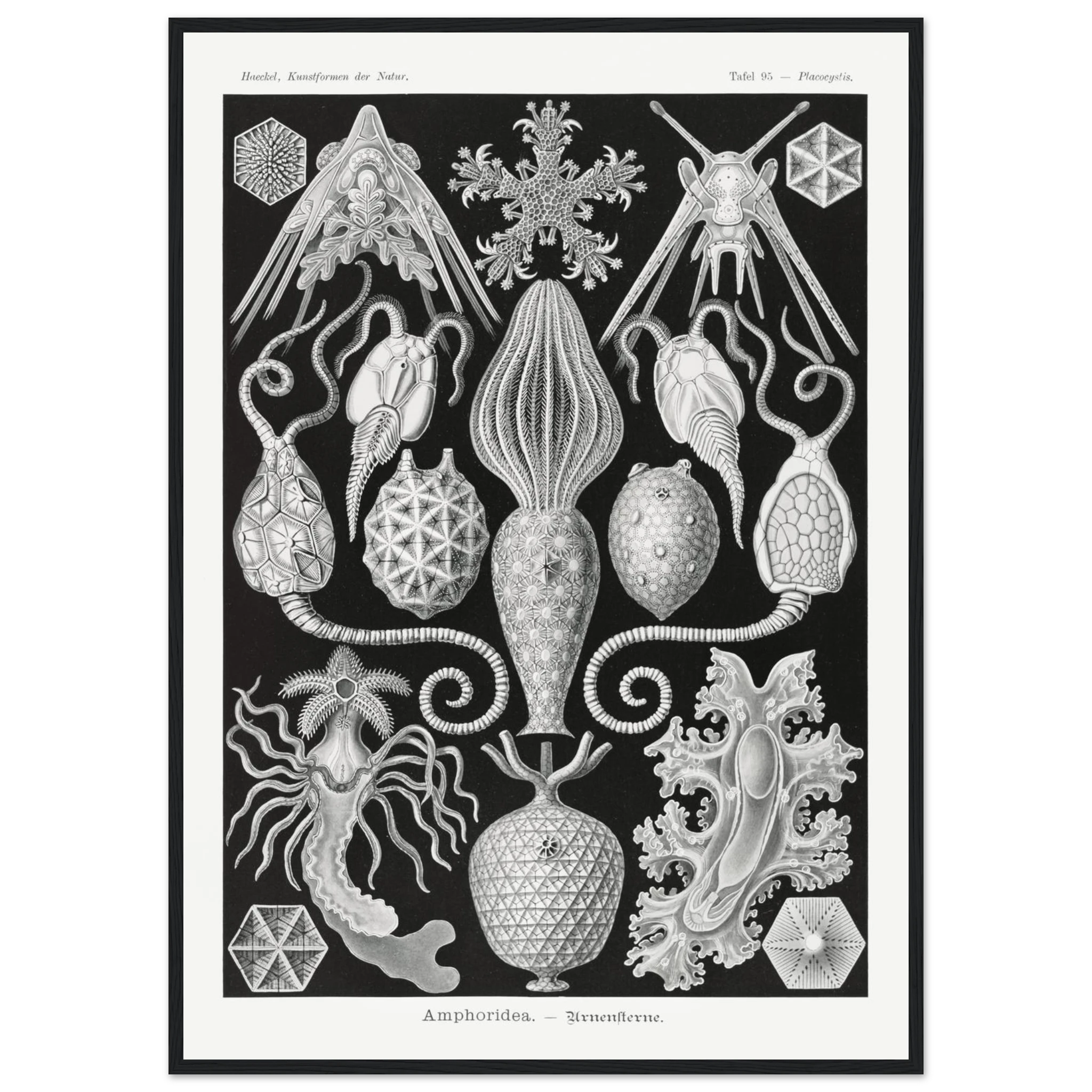 6790c065-df3a-43c7-a3a2-e31c452287ad