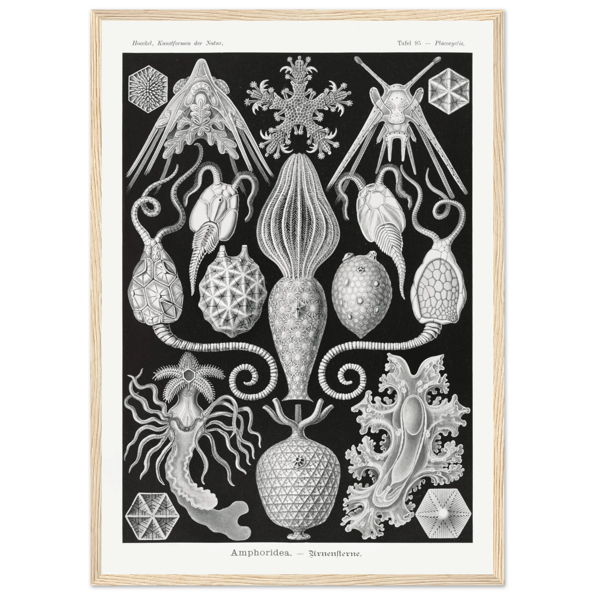 6807cc2e-db04-48a5-8145-e602875d1d4e