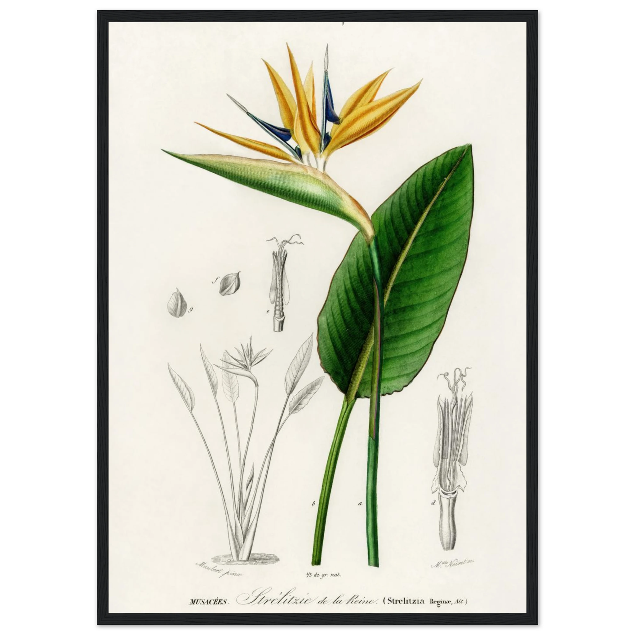 68232f01-f586-47c7-854a-d1b408762a52