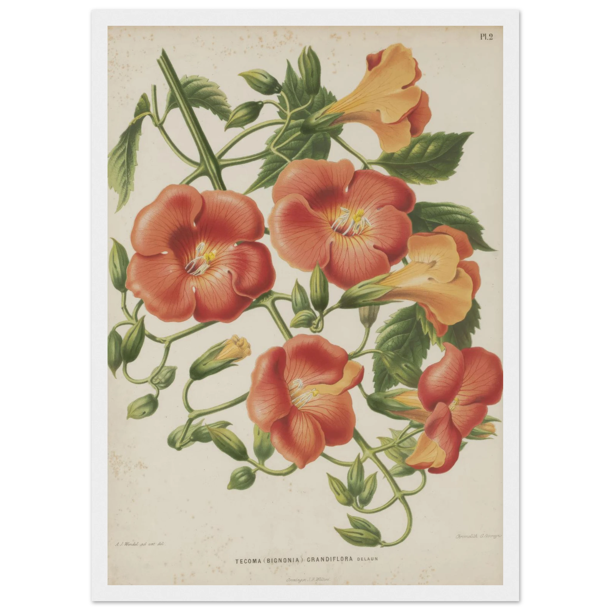 686ee5bc-bac8-4a6b-b03c-1861417145e1