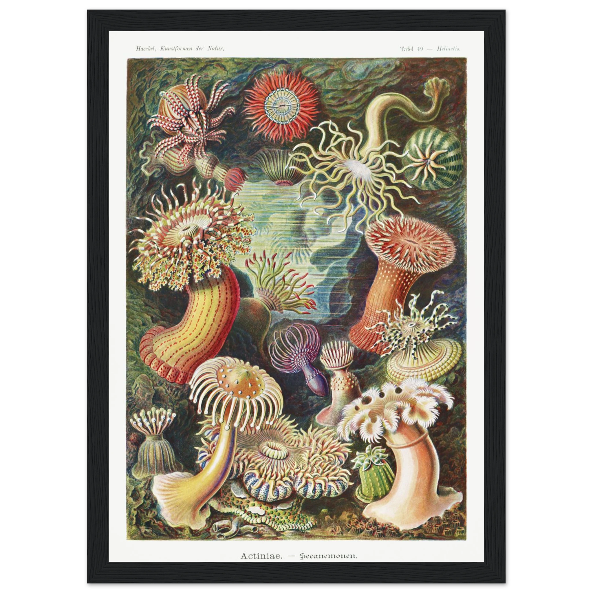 68931f0f-f39b-4bef-b202-be36f484e8e1