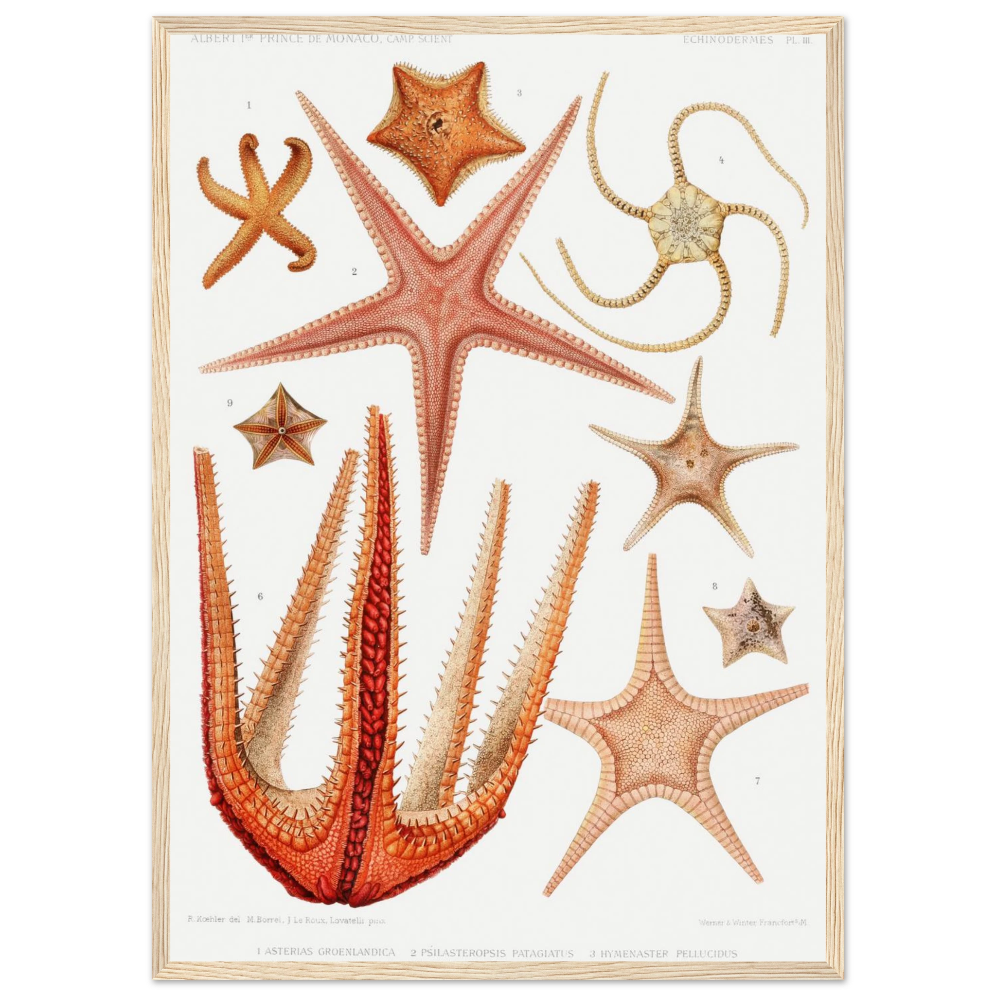 69254d25-ecee-4994-a0ff-c98c970b2665