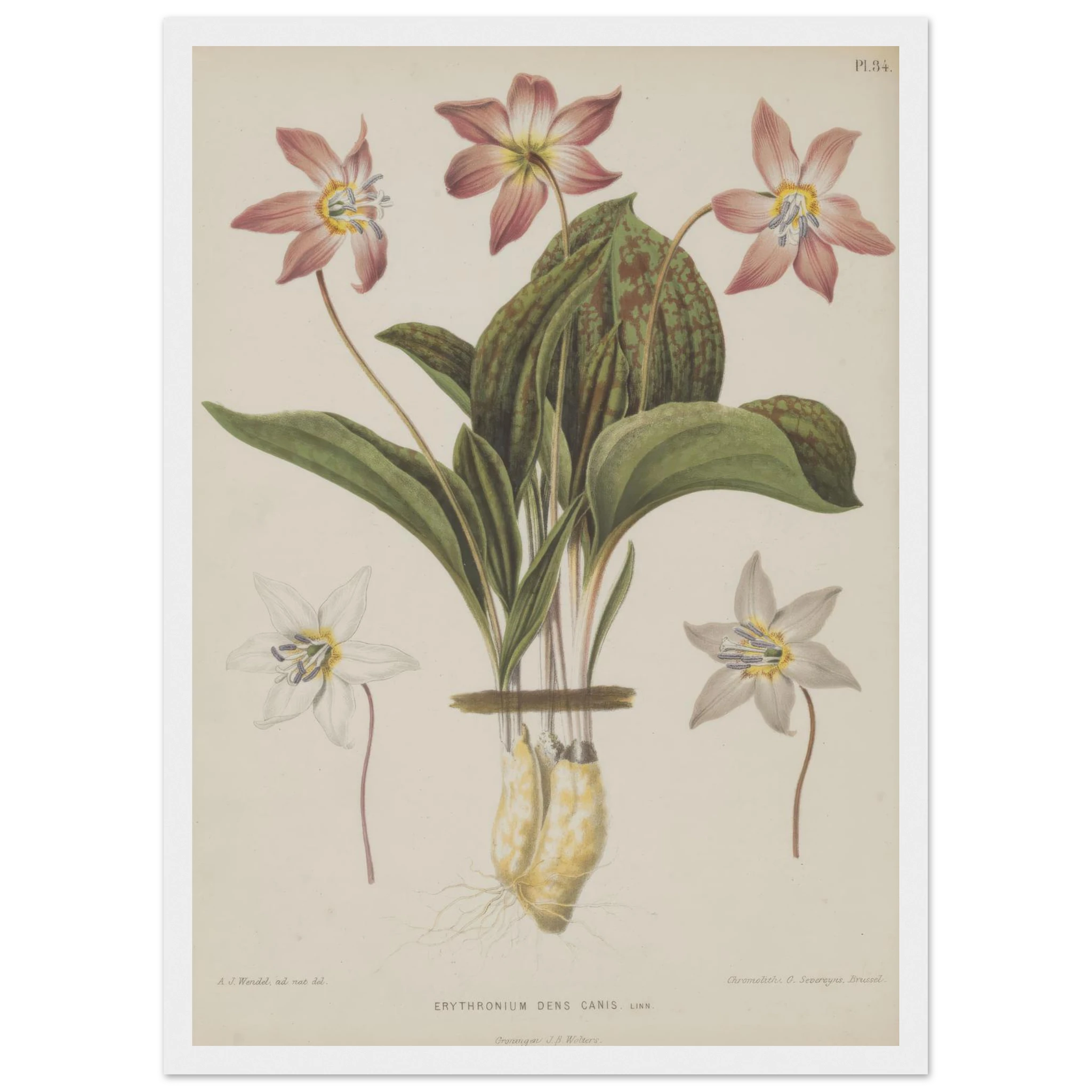 6971d271-61da-4967-bbb1-2139d94ca795