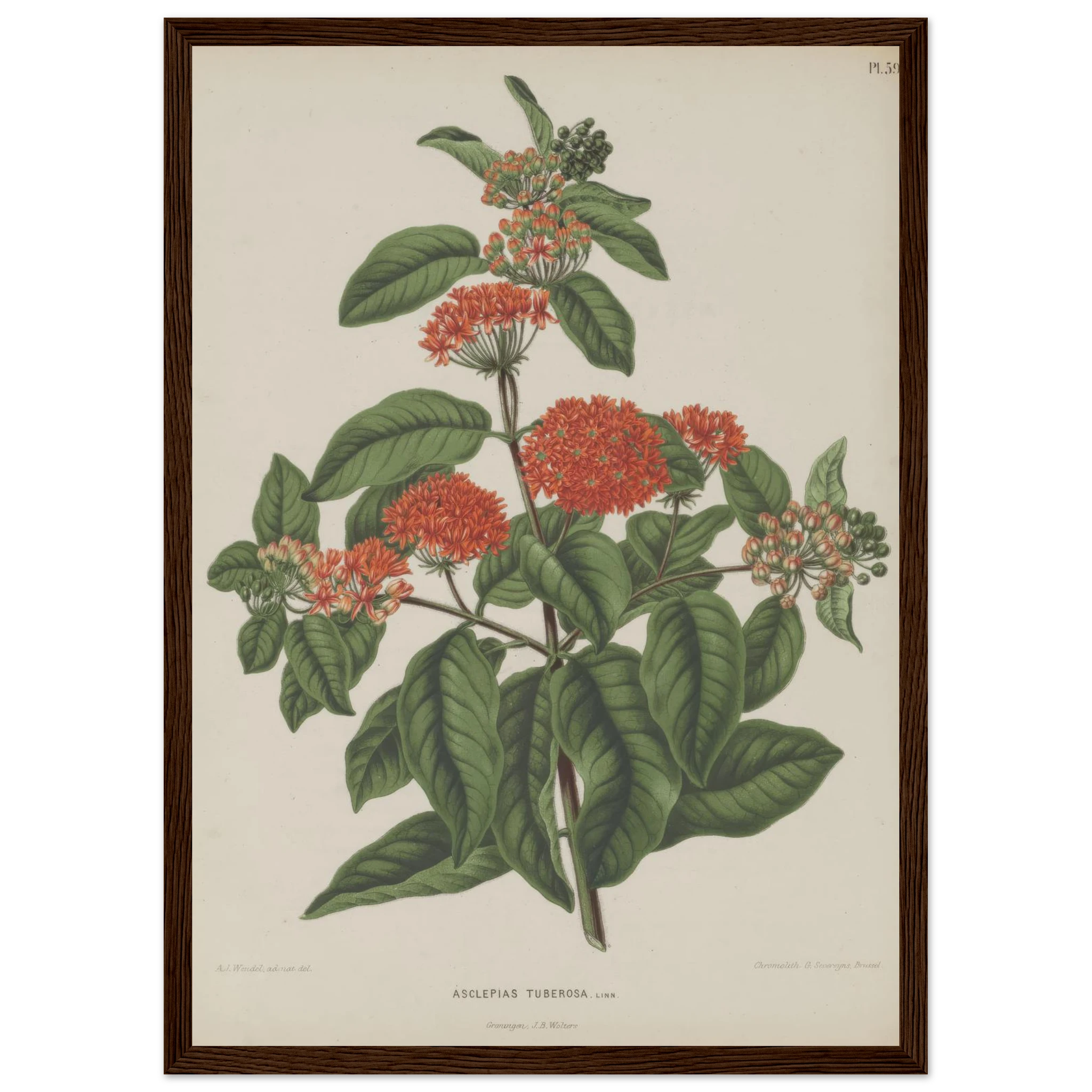 69e3c1c0-fd8c-4e50-a78b-2fb6024d7b79