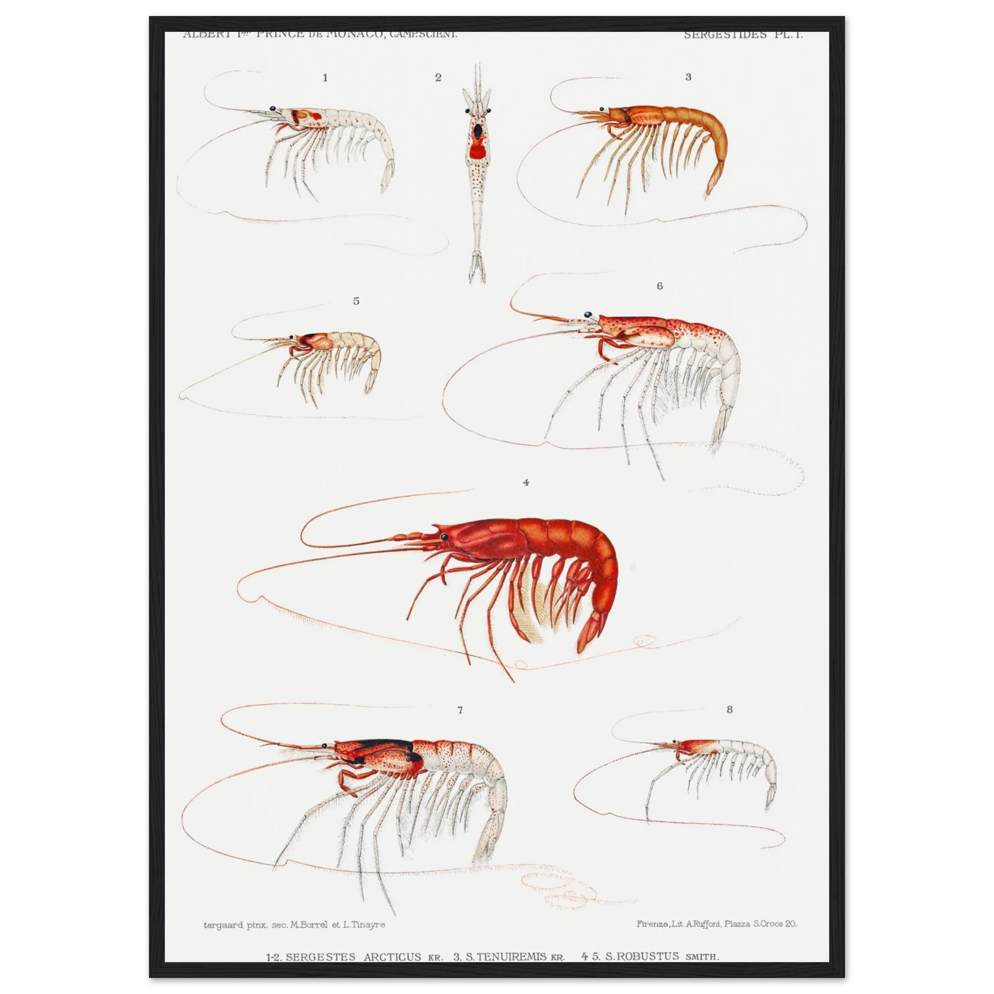 69e8a802-dfdf-4271-8398-fff56600cdc4