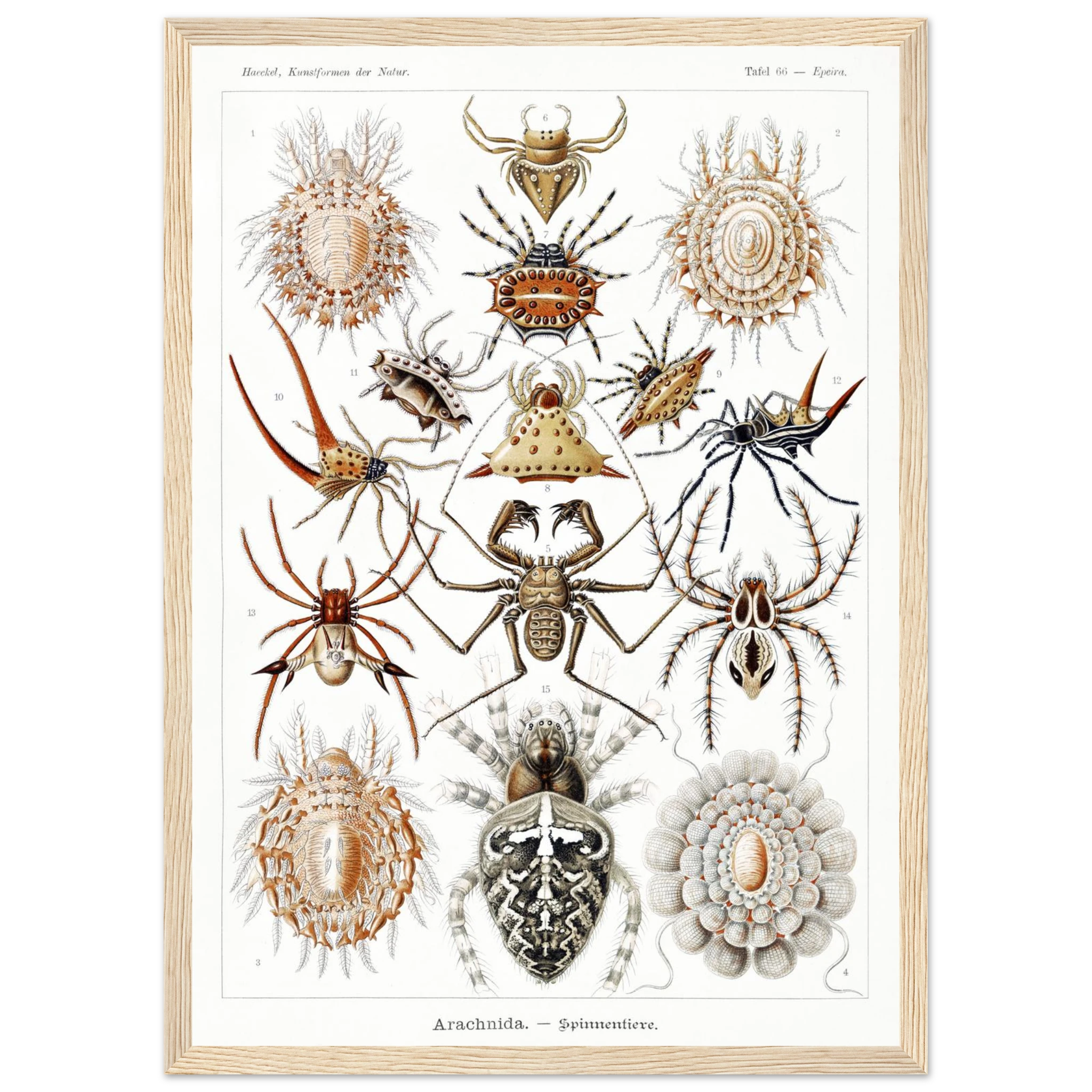 69edcb59-db2d-484e-bdb7-7bb5ef064f13