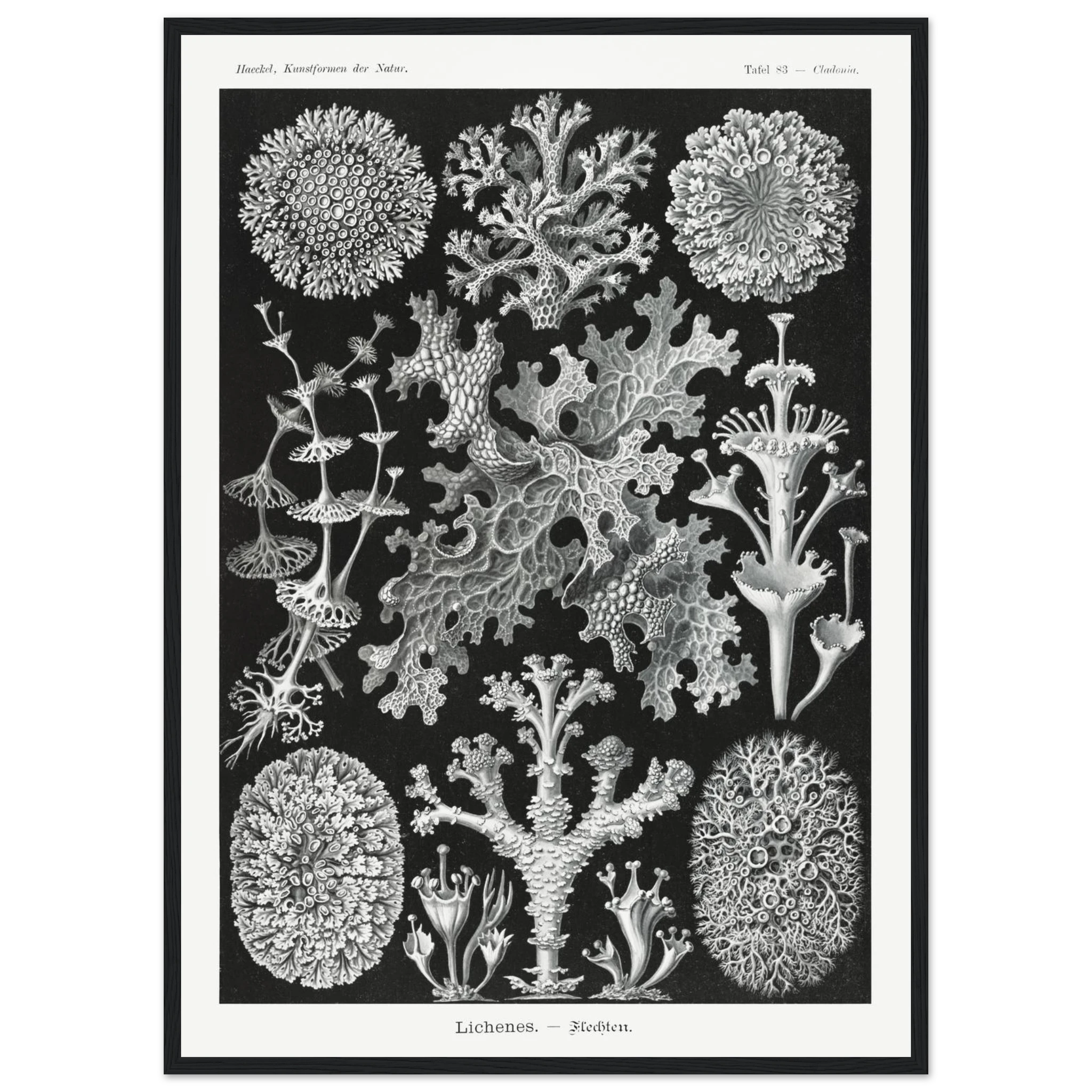 69f0201b-9a80-4173-b298-ceb1aac03eda