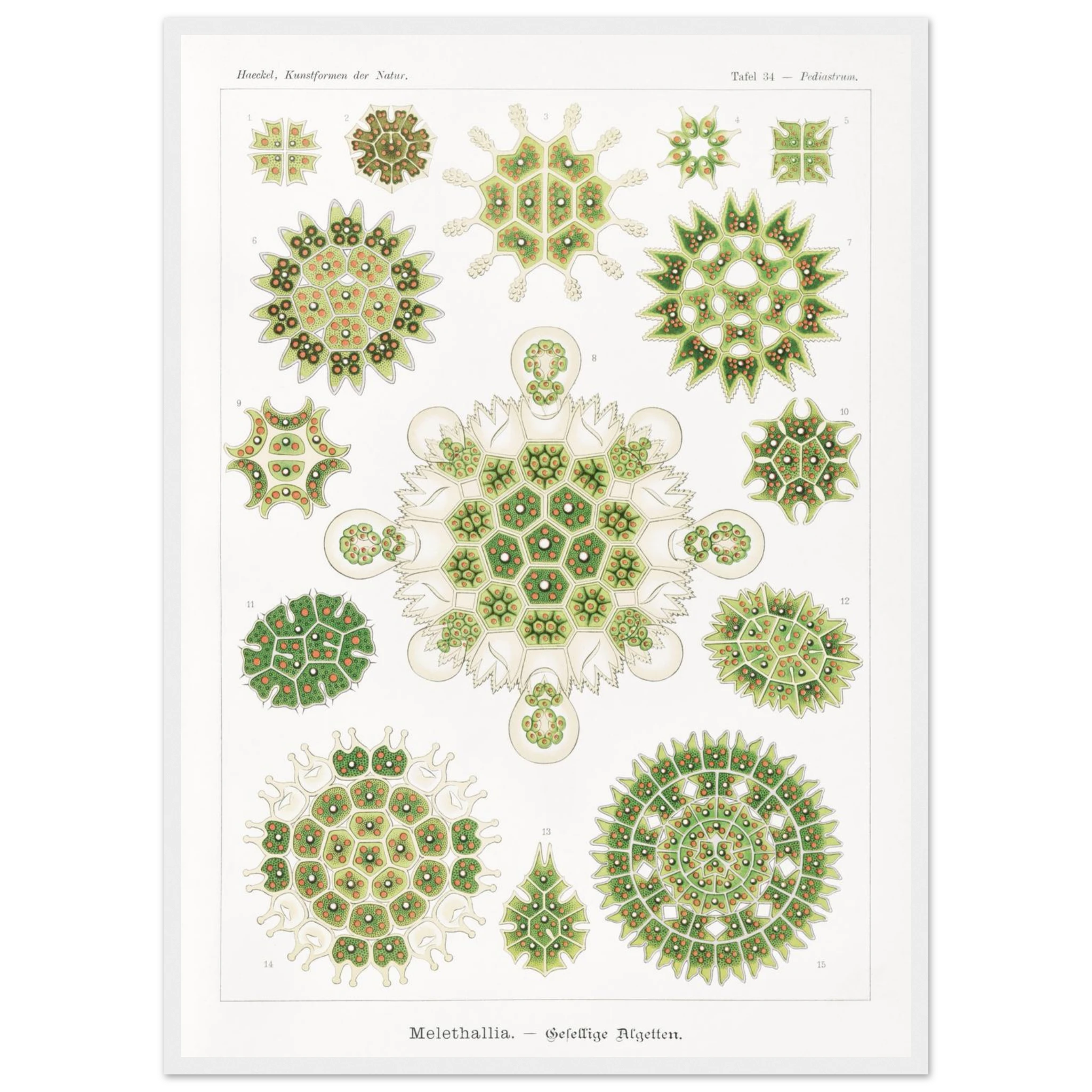 69f31d5e-c835-4b37-98e8-11677c381605