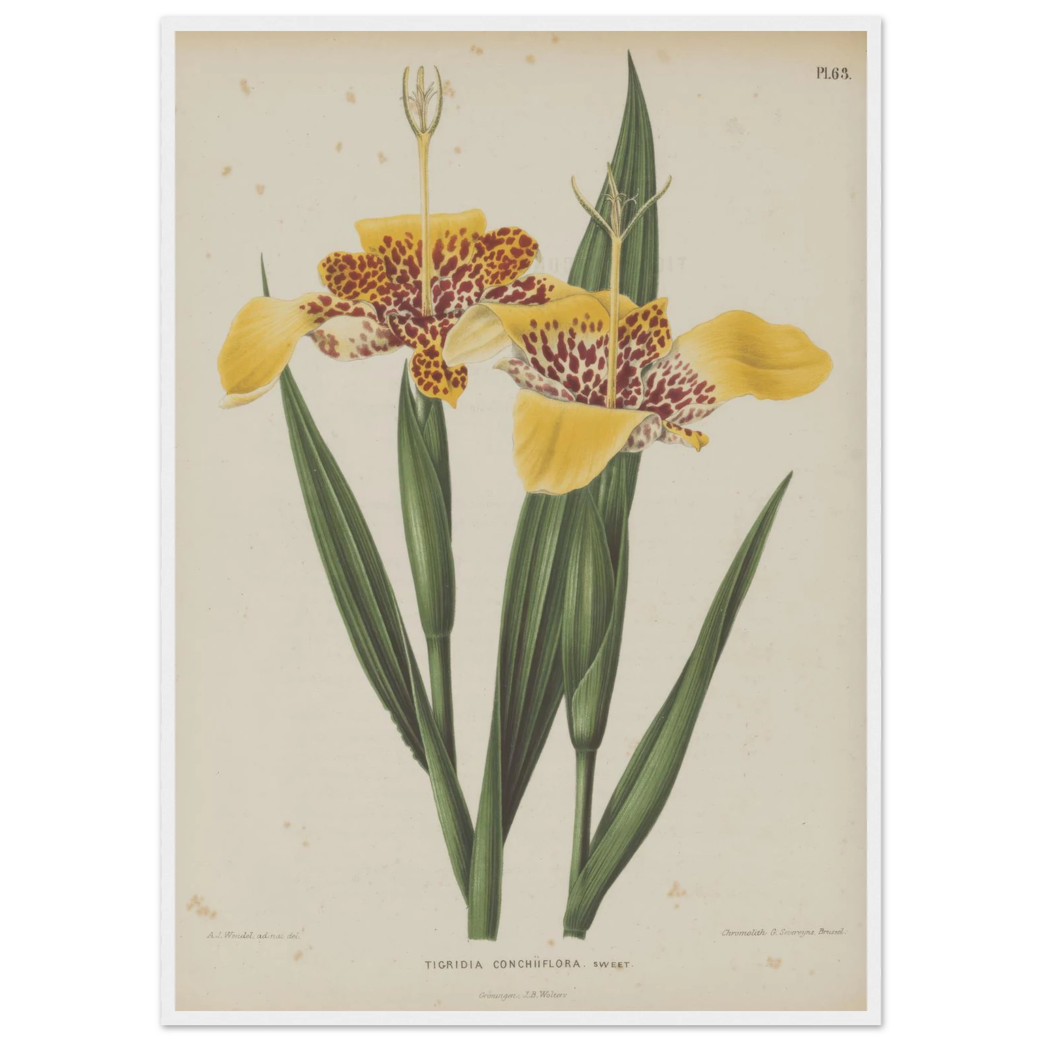 6a38925c-bb0b-4e09-a6f1-829fc4761cc0