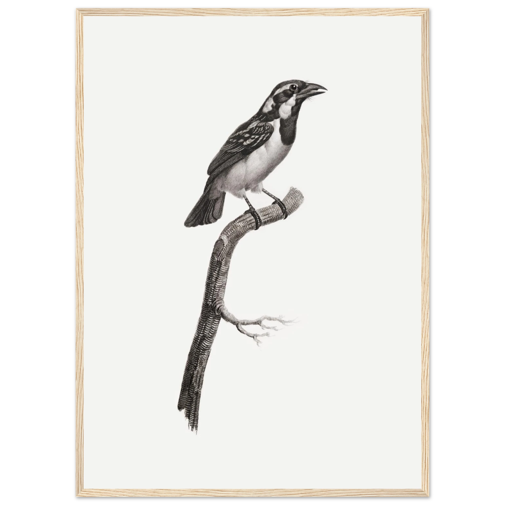 6a38fee9-527c-432f-b701-a0cf3d1a57fc