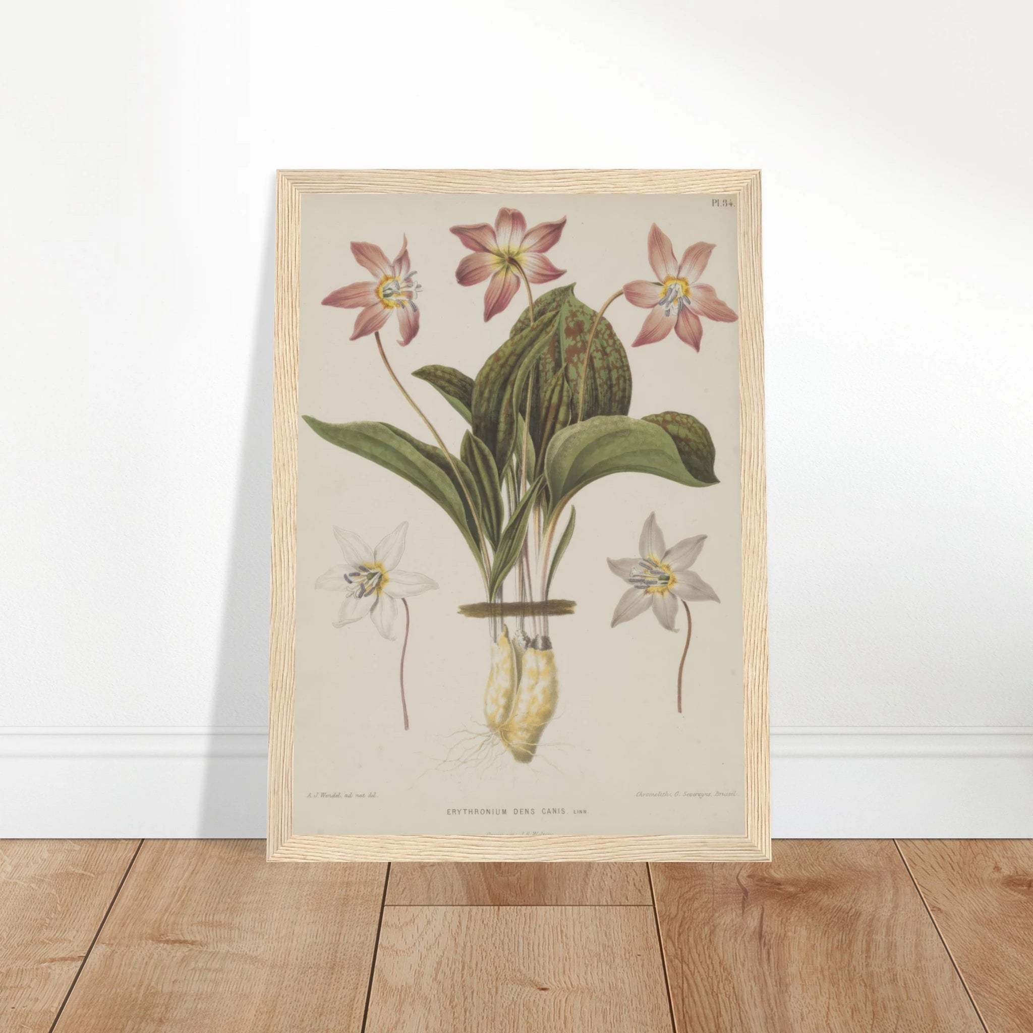 6a9ce33b-8bda-48af-a76c-82fa04e384b9