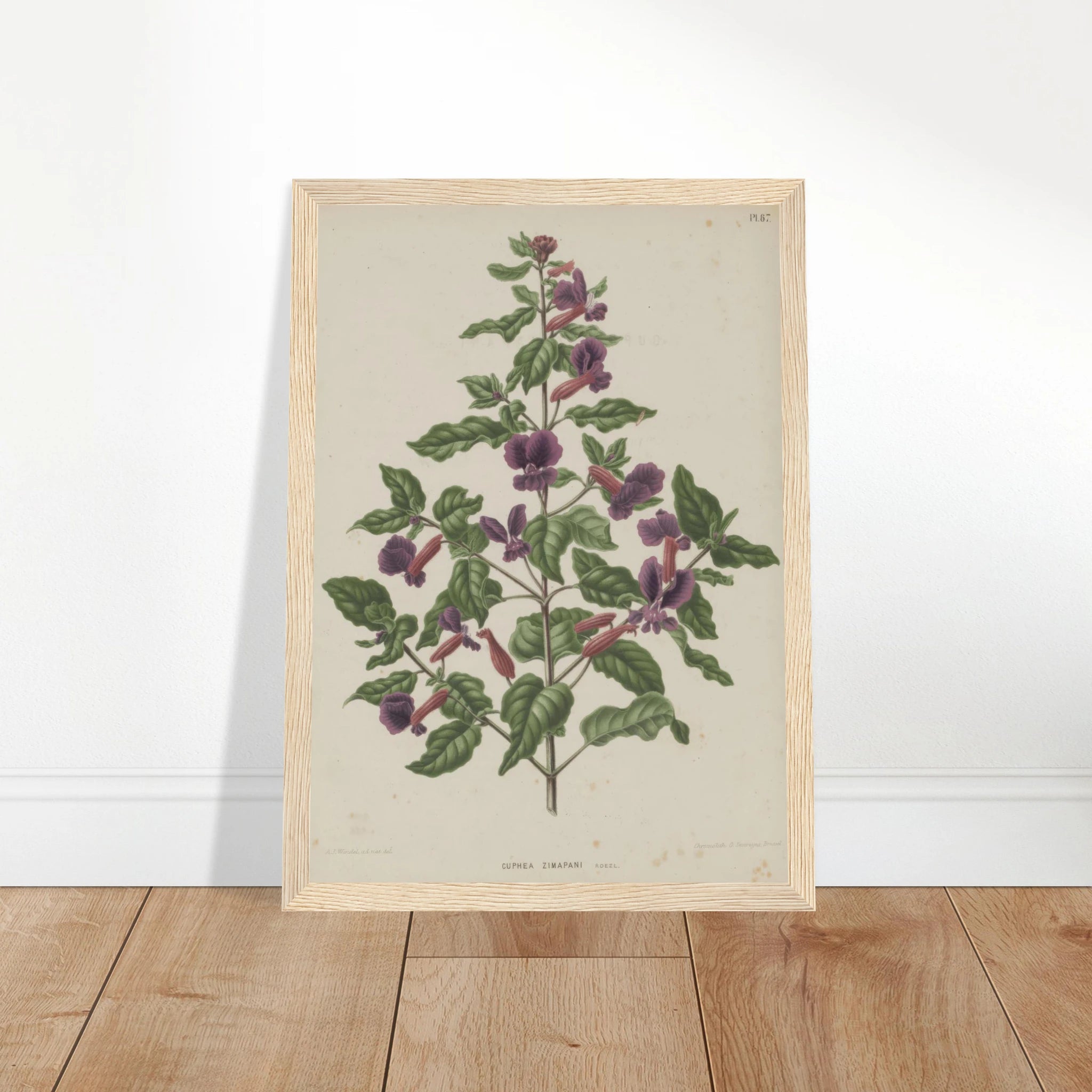 6aded7ae-8b7a-4f2d-a2a3-6f4939dca0ea