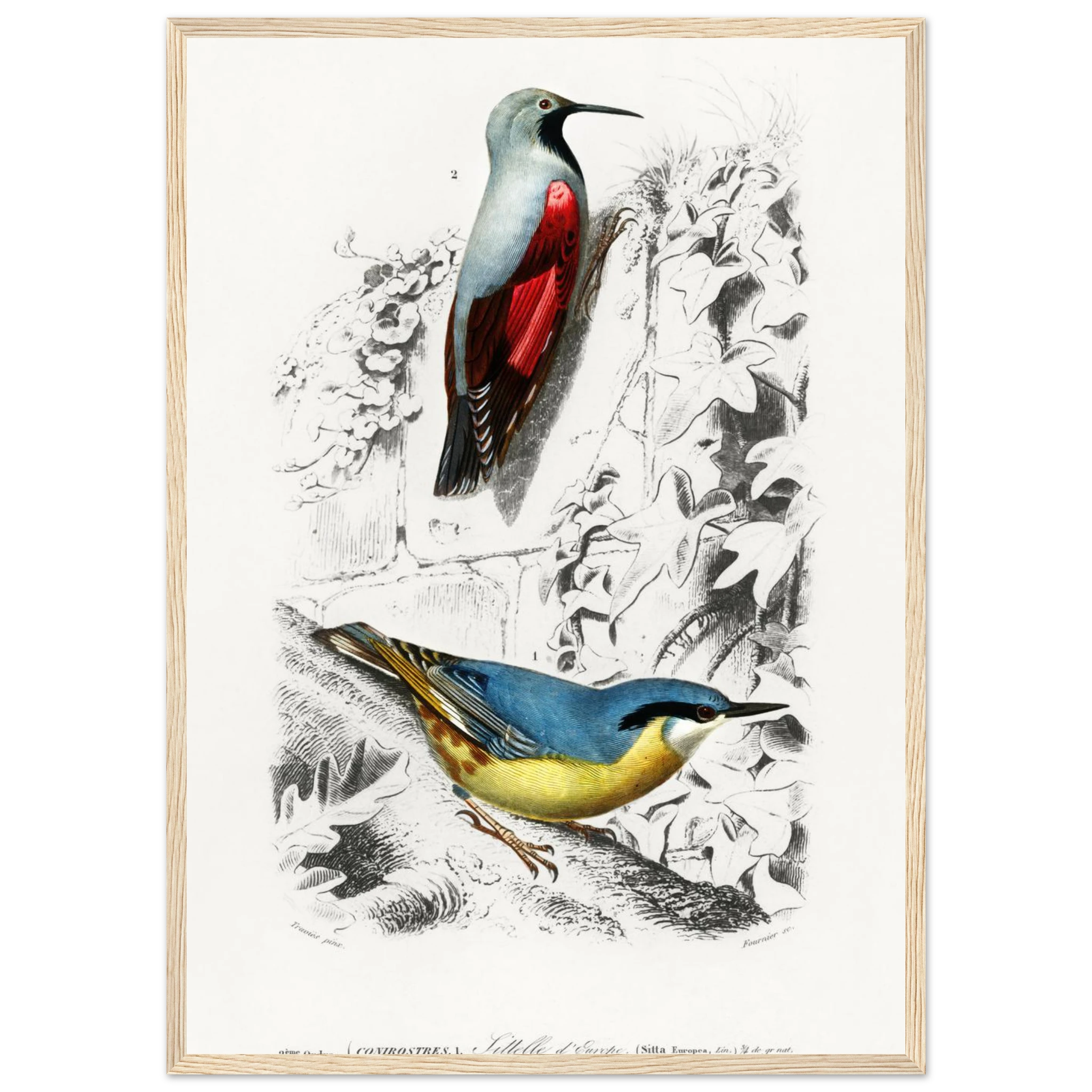 6aed76d8-736e-46d9-8ef7-f21df9673366