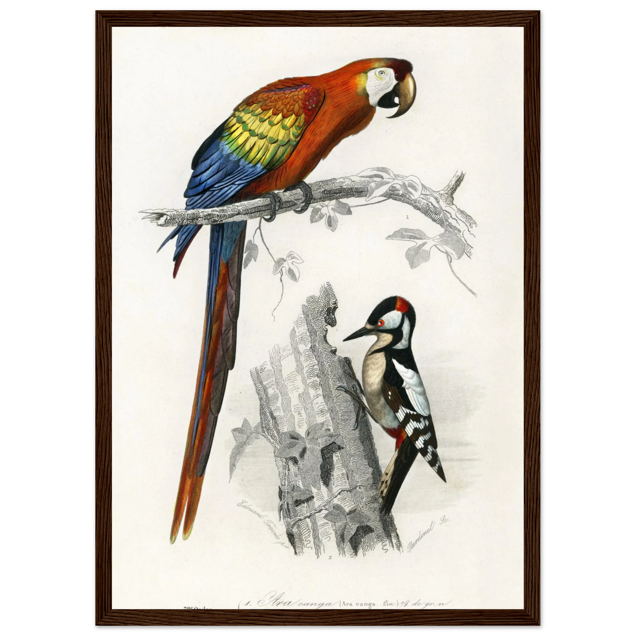 6af4ed3a-c5eb-4184-998e-7e634fd088e8