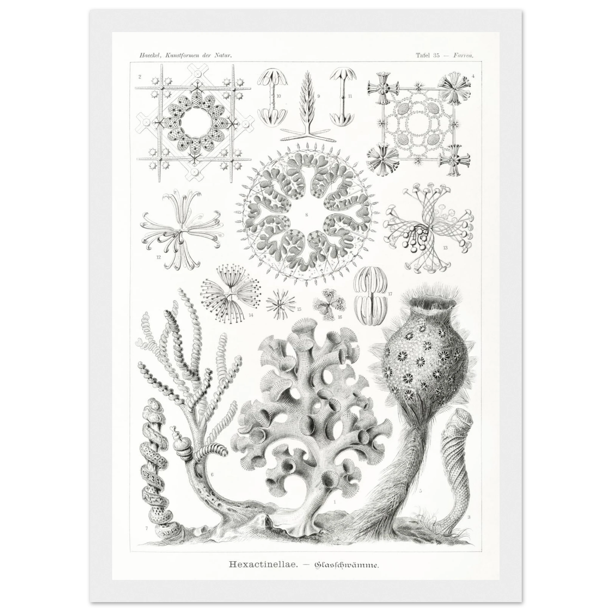 6afc326c-e6dd-4d01-a972-8bb25723486b