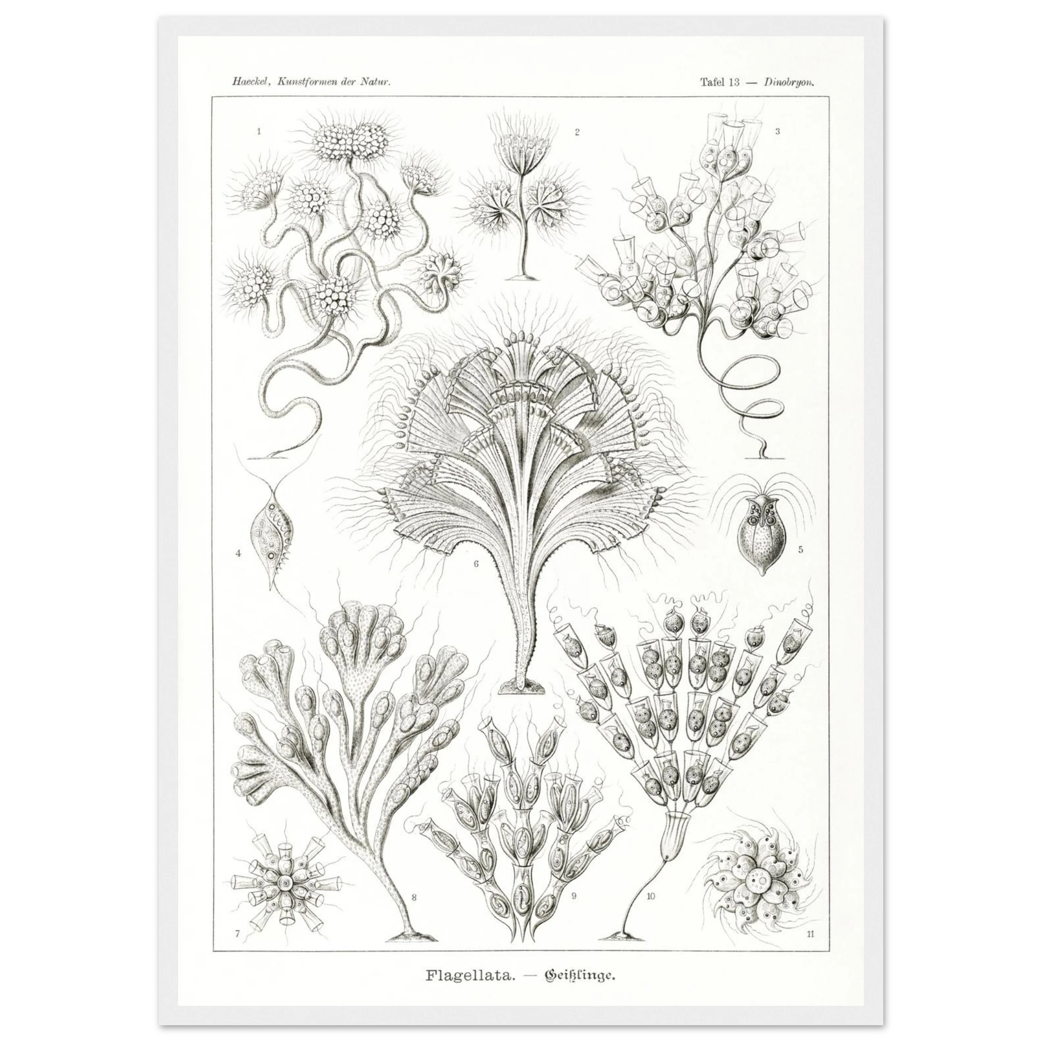 6b0ec1a5-6cb2-426d-a8e0-68863404077e