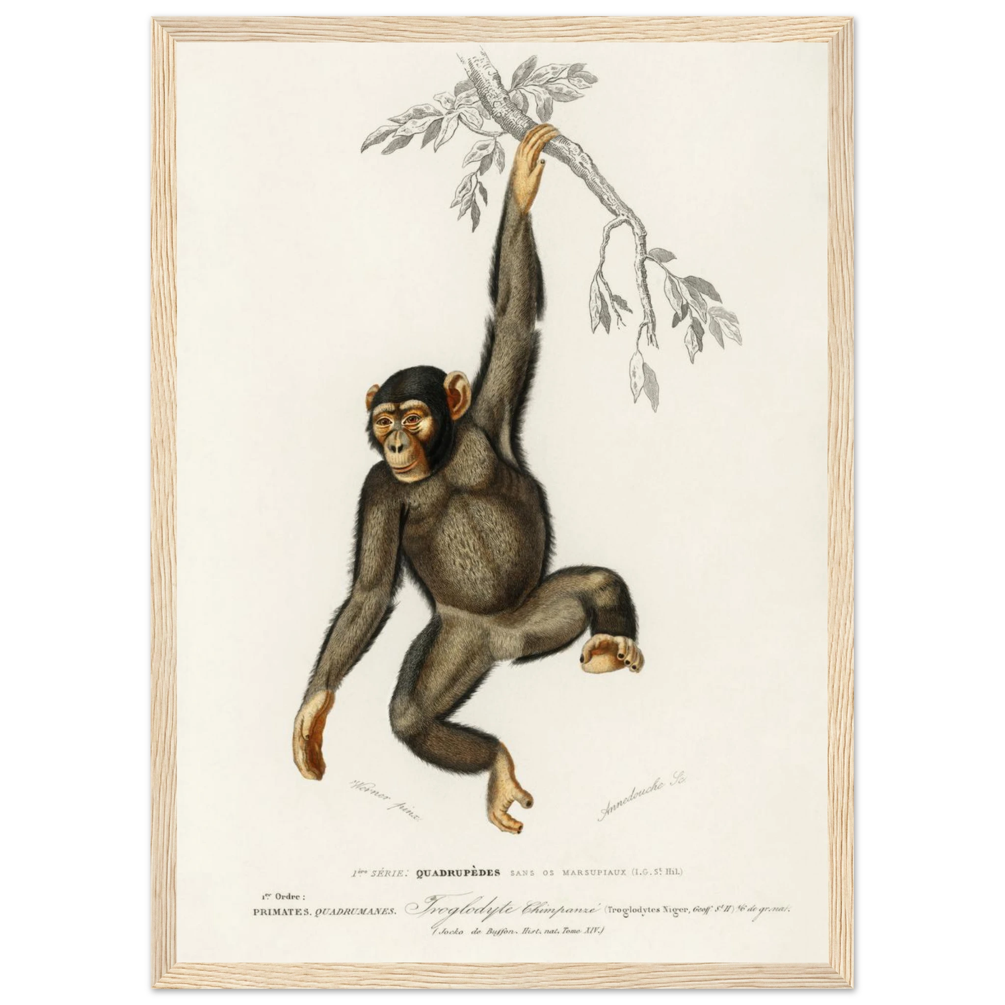 6b115645-2383-4761-9caa-aa78b4fdd9f1