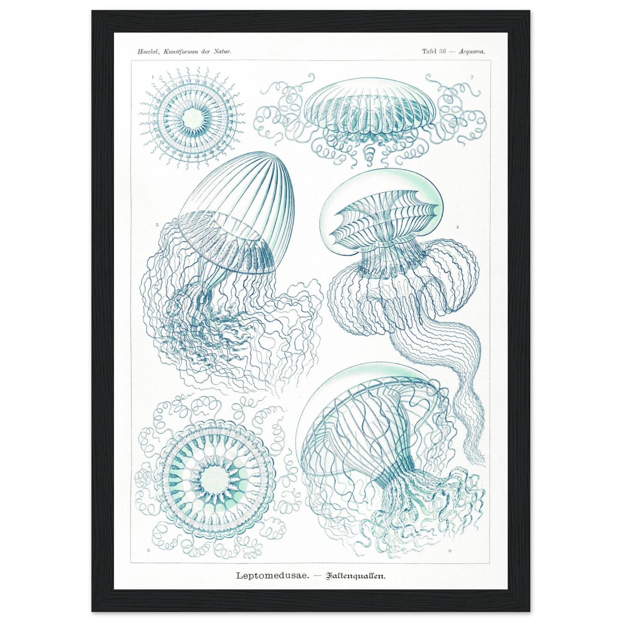 6b1fd62a-2645-4f64-9b62-3a3c96d0b515