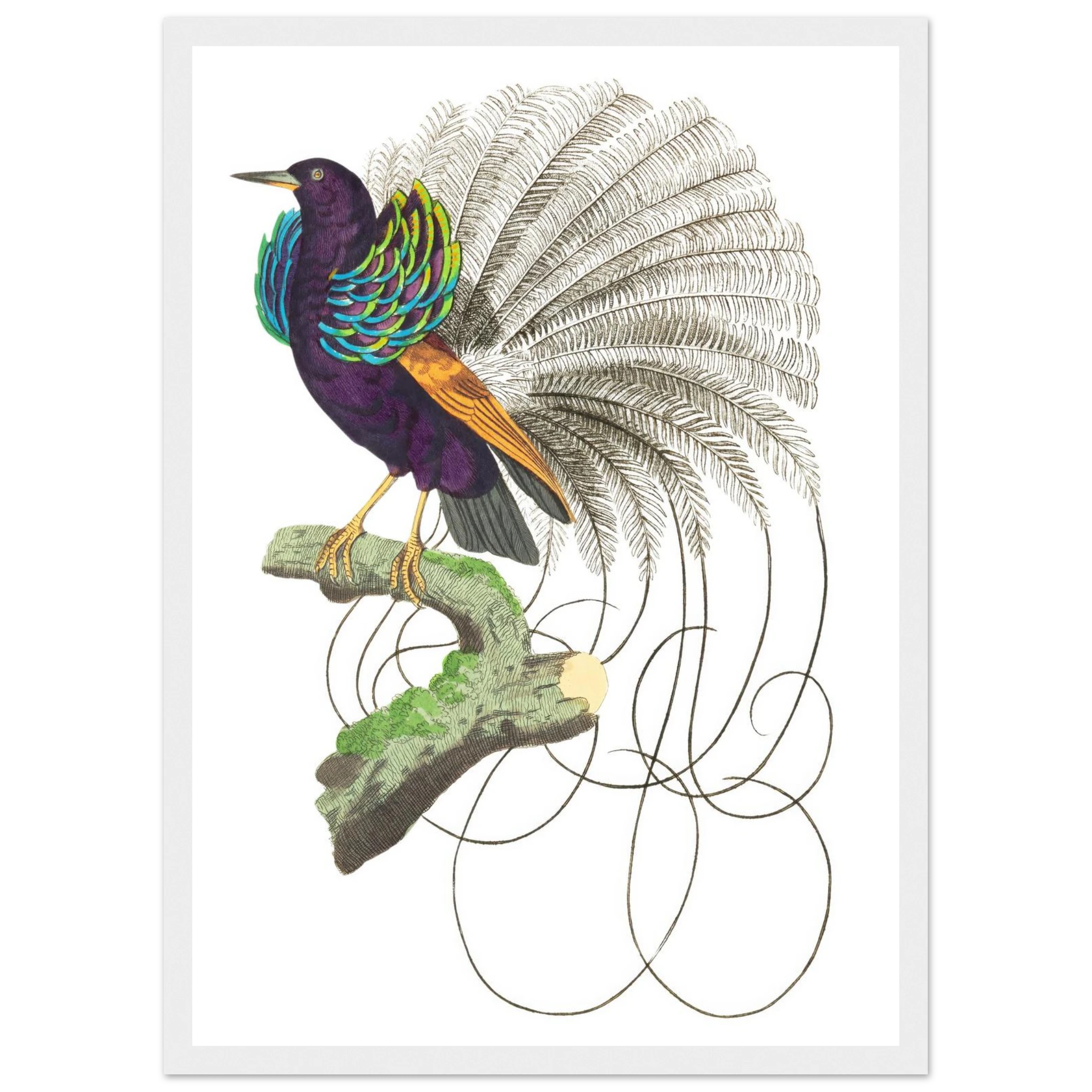 6b289b9d-f9e7-4078-b5e2-ff7a3fdea1fa