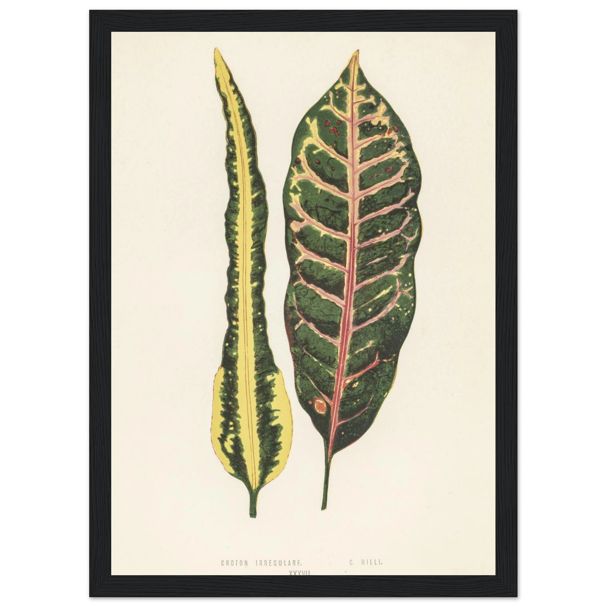 6b69f0d4-e215-44c8-a8f6-c1349563a039