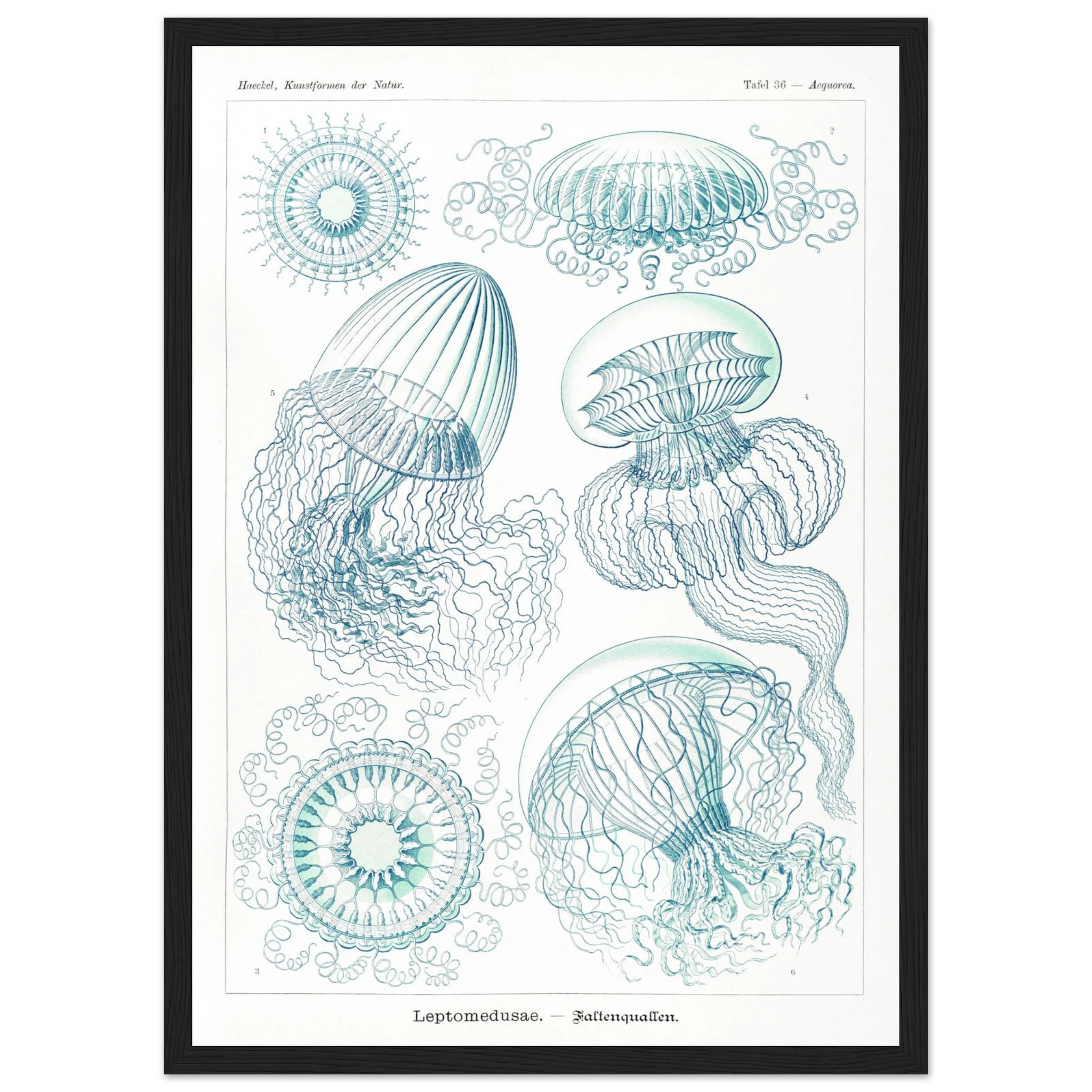 6b7cdf17-809a-4f0a-9f69-59fbac38726f