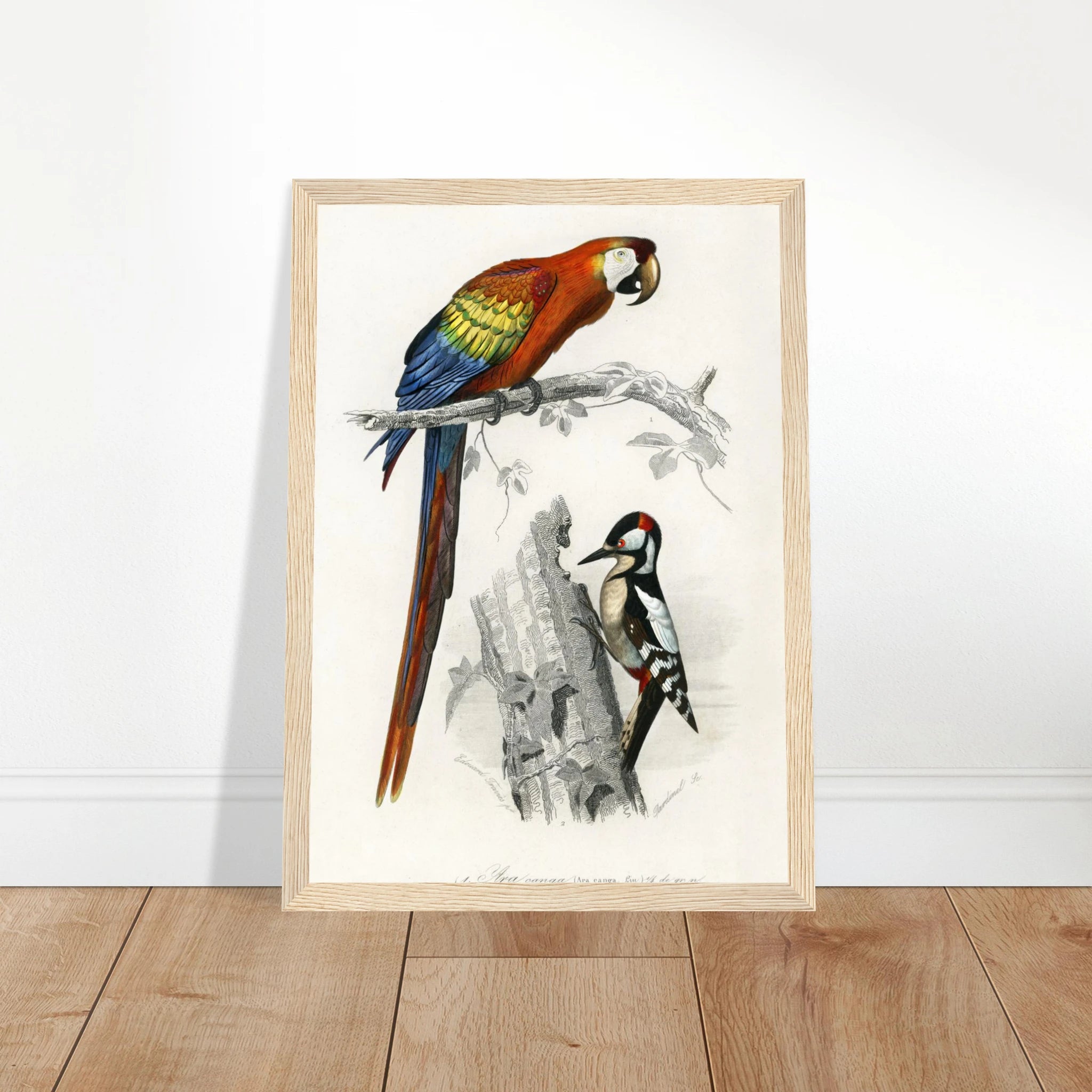 6baeb3b4-1dd5-408e-b546-dffdb556a975