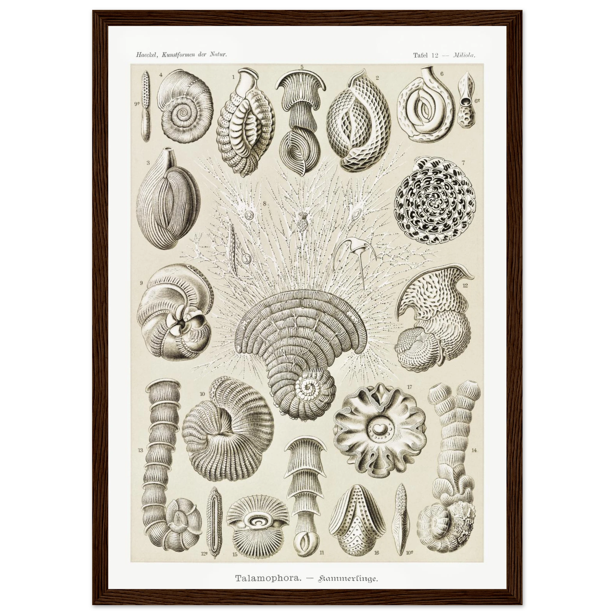 6bcd6b38-7f0f-4091-bc4d-05e8233a720f