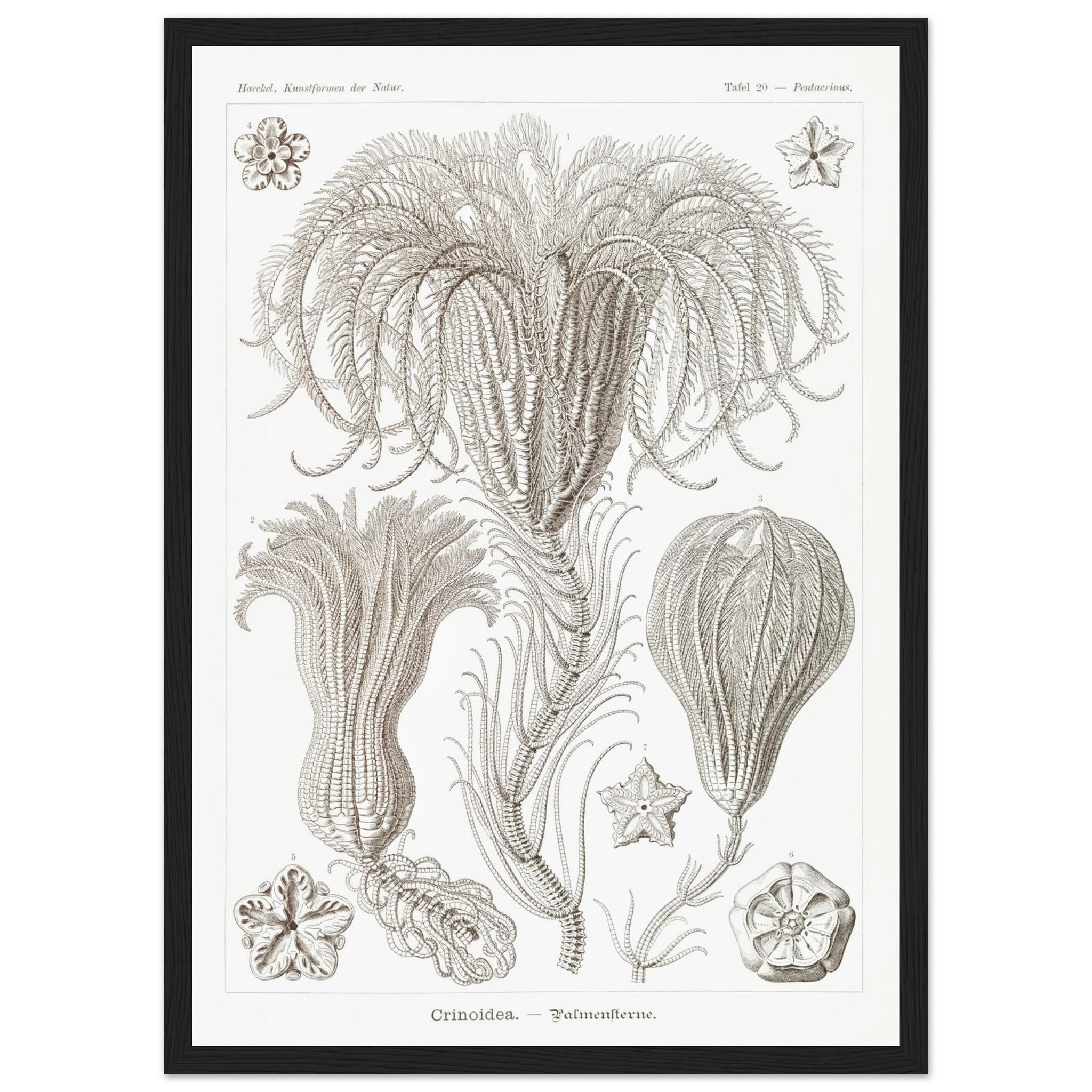 6bf9ccd4-4fb9-4f2a-bb16-ab497287a15b