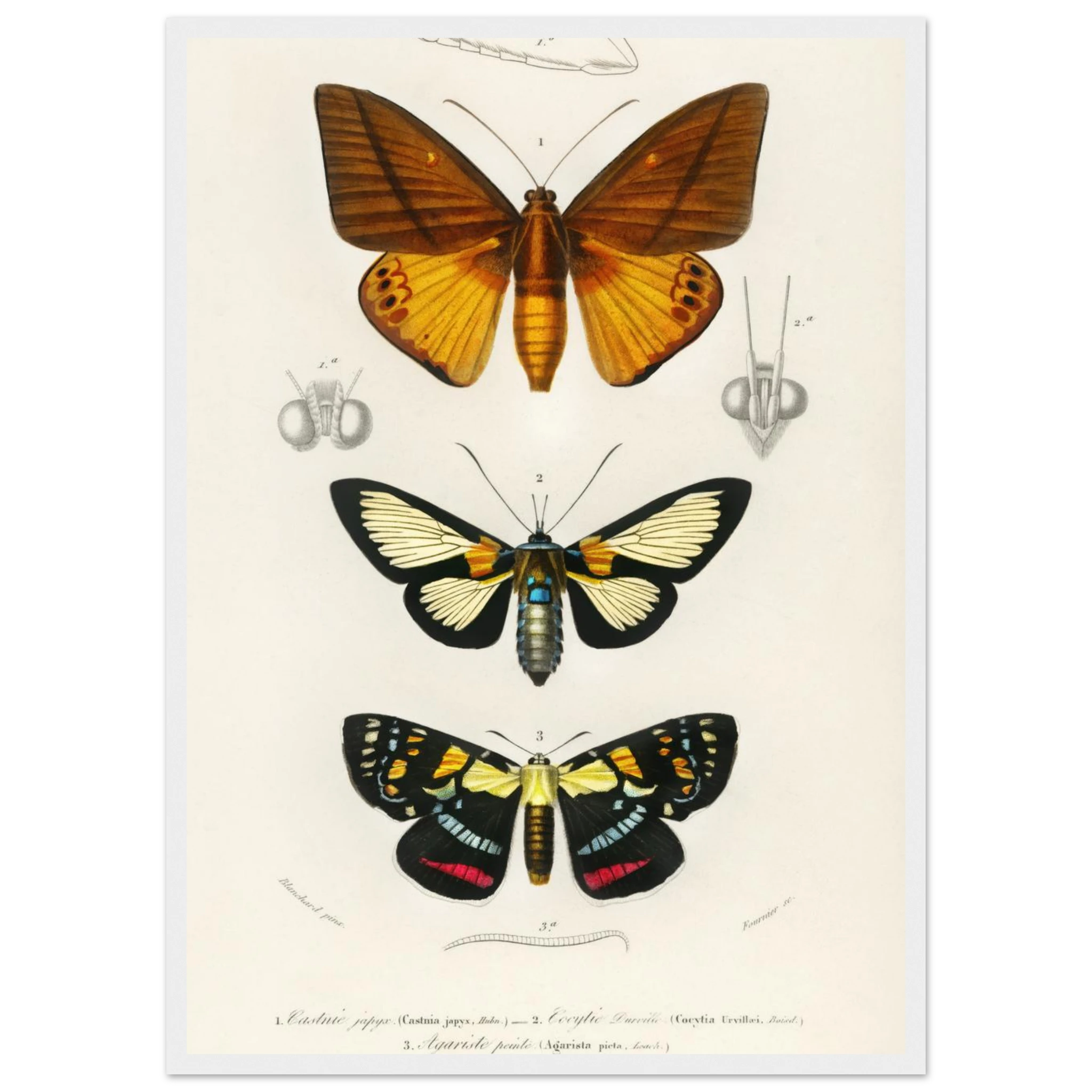 6c05f80b-ccd2-4953-9d82-3b9758426a21