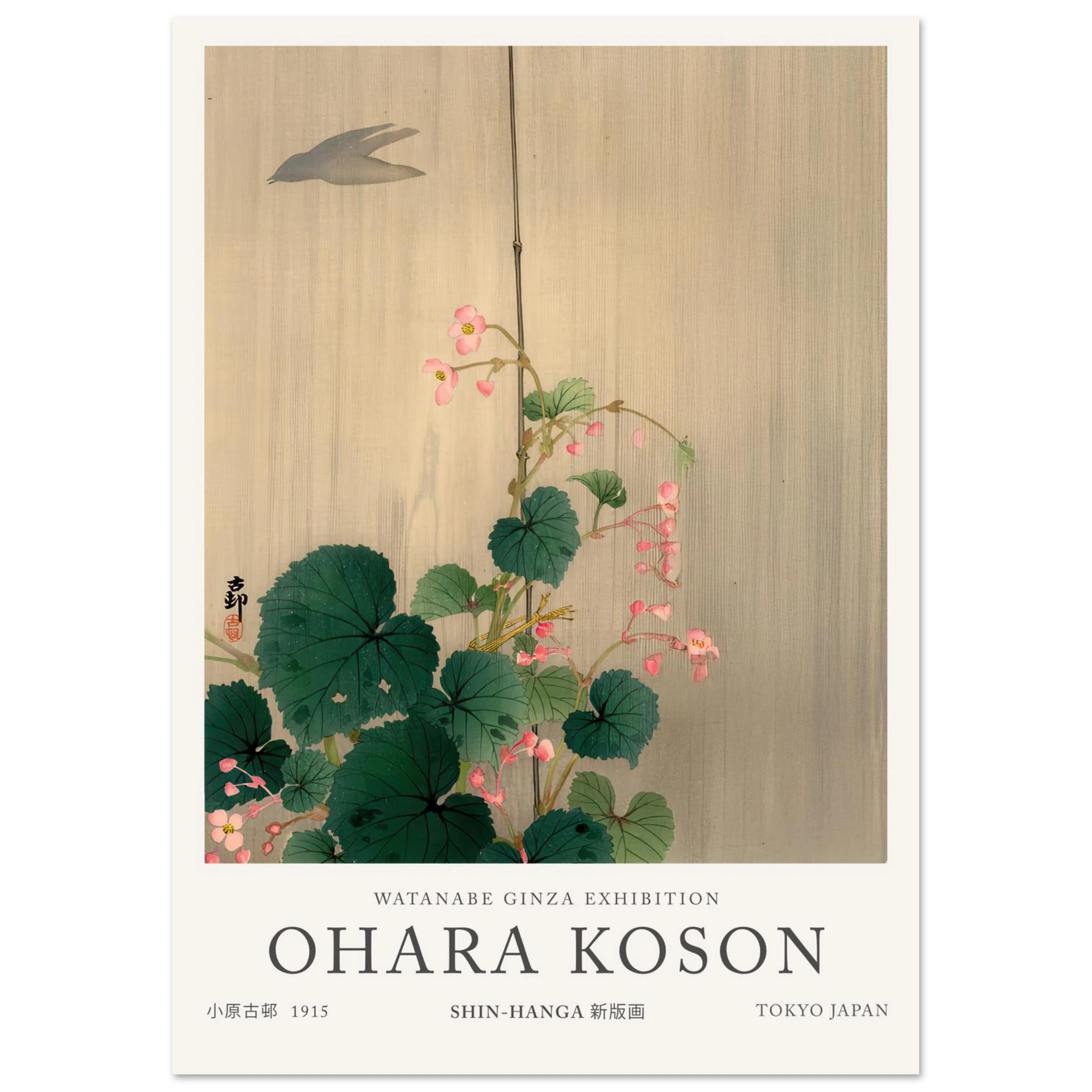 Blue Bird And Magnolia - Ohara Koson