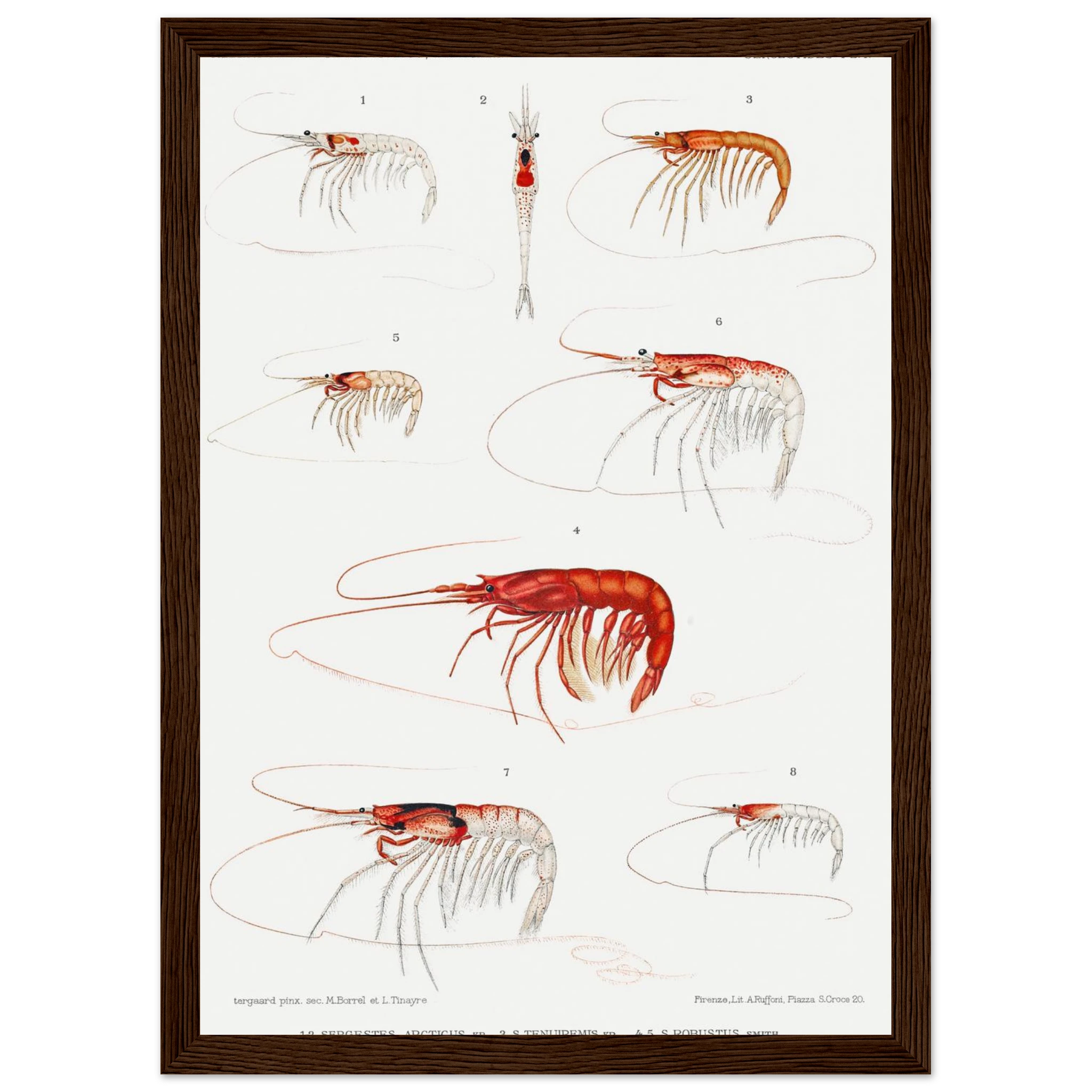 6c2f5777-d749-4795-8e3e-51200e0673cf