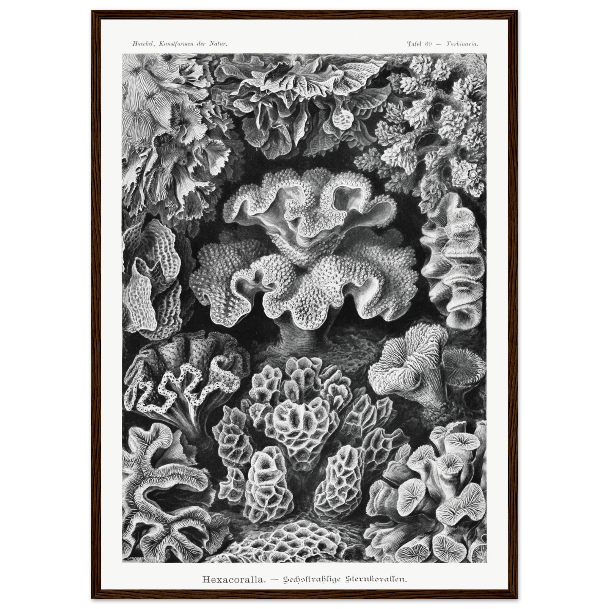 6c417e50-b1c9-4839-9ffb-3a1bffb5b32f