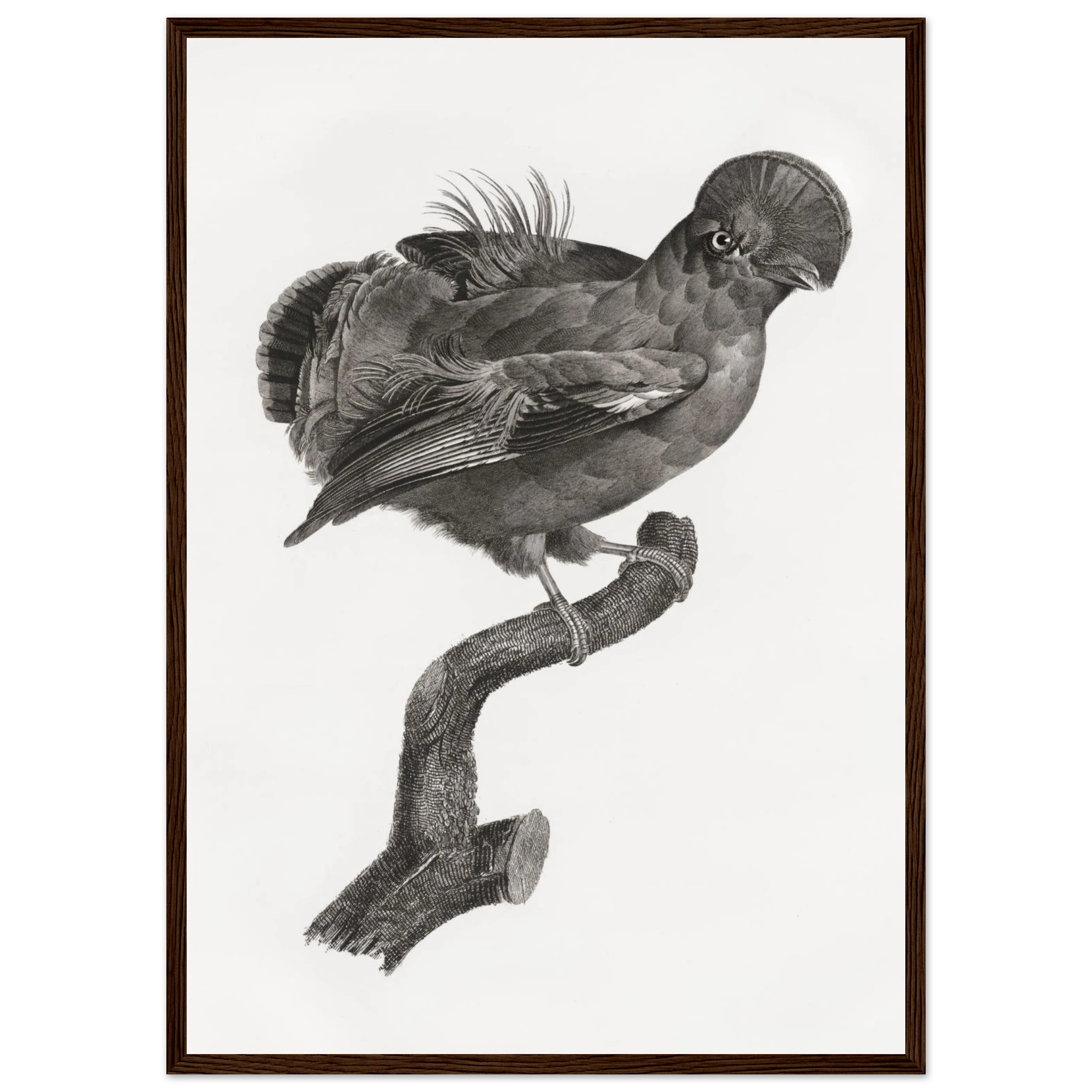 6c46d1f5-9072-4a09-ae06-850277941f73