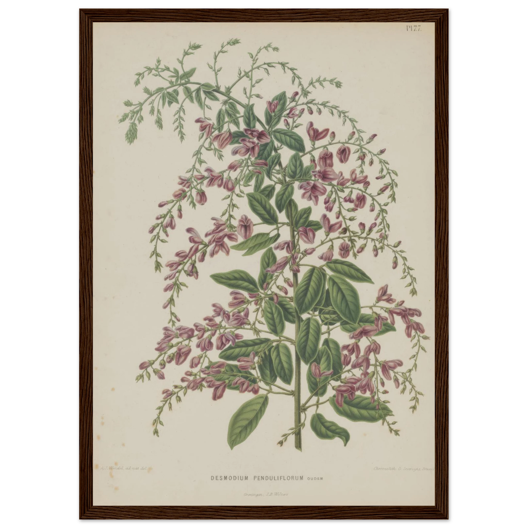 6c6b5acf-55bb-4b94-a25f-e5d329a88379