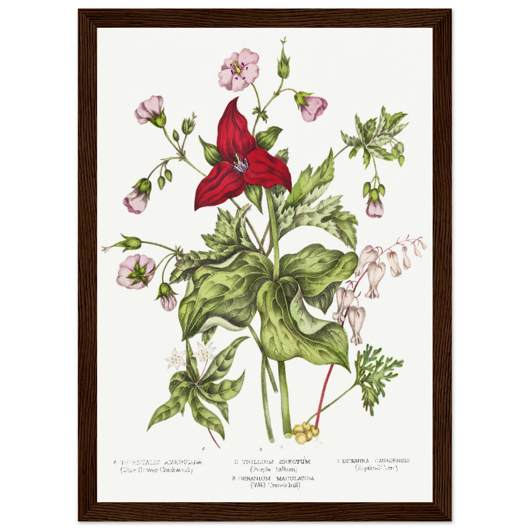 6caf2320-7c44-4f18-bcbb-e688a0603855