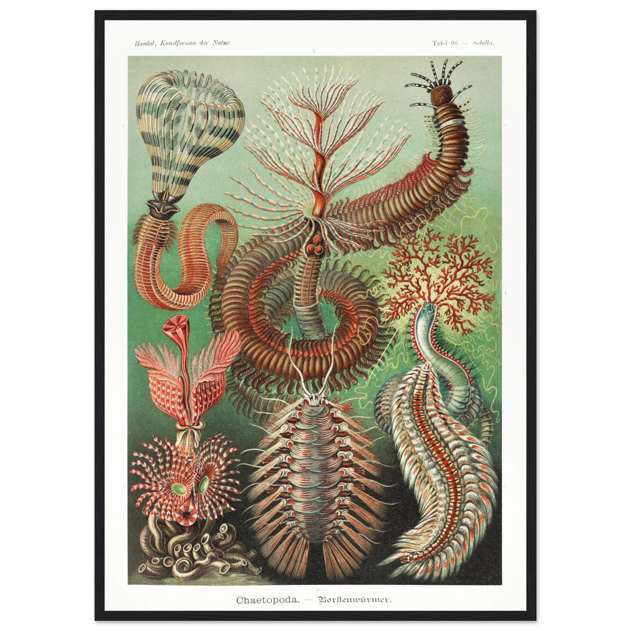 6ccef209-08b5-402b-9ed1-c38fc40336ba